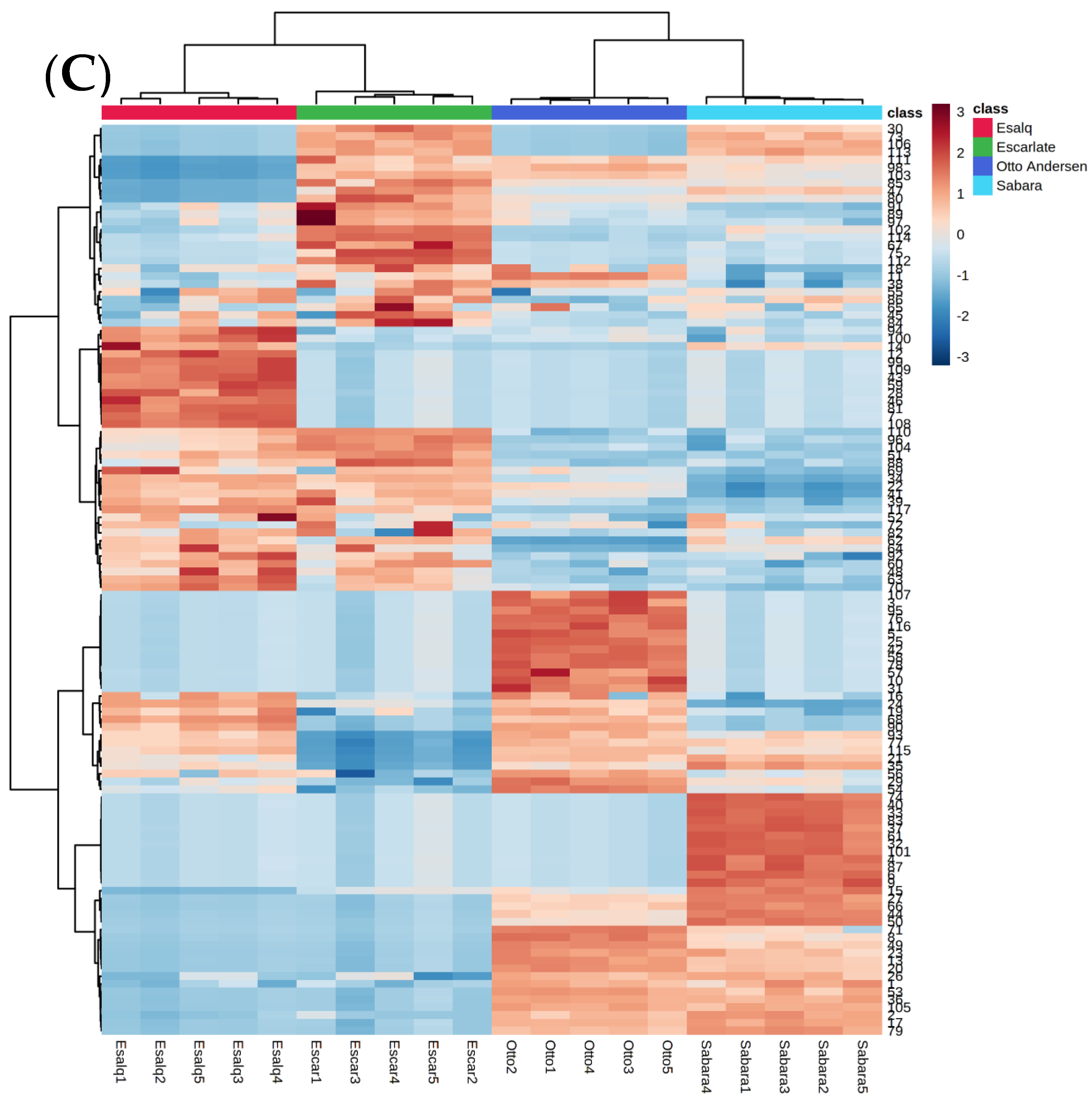 Molecules 25 04543 g001b Molecules 25 04543 g001b