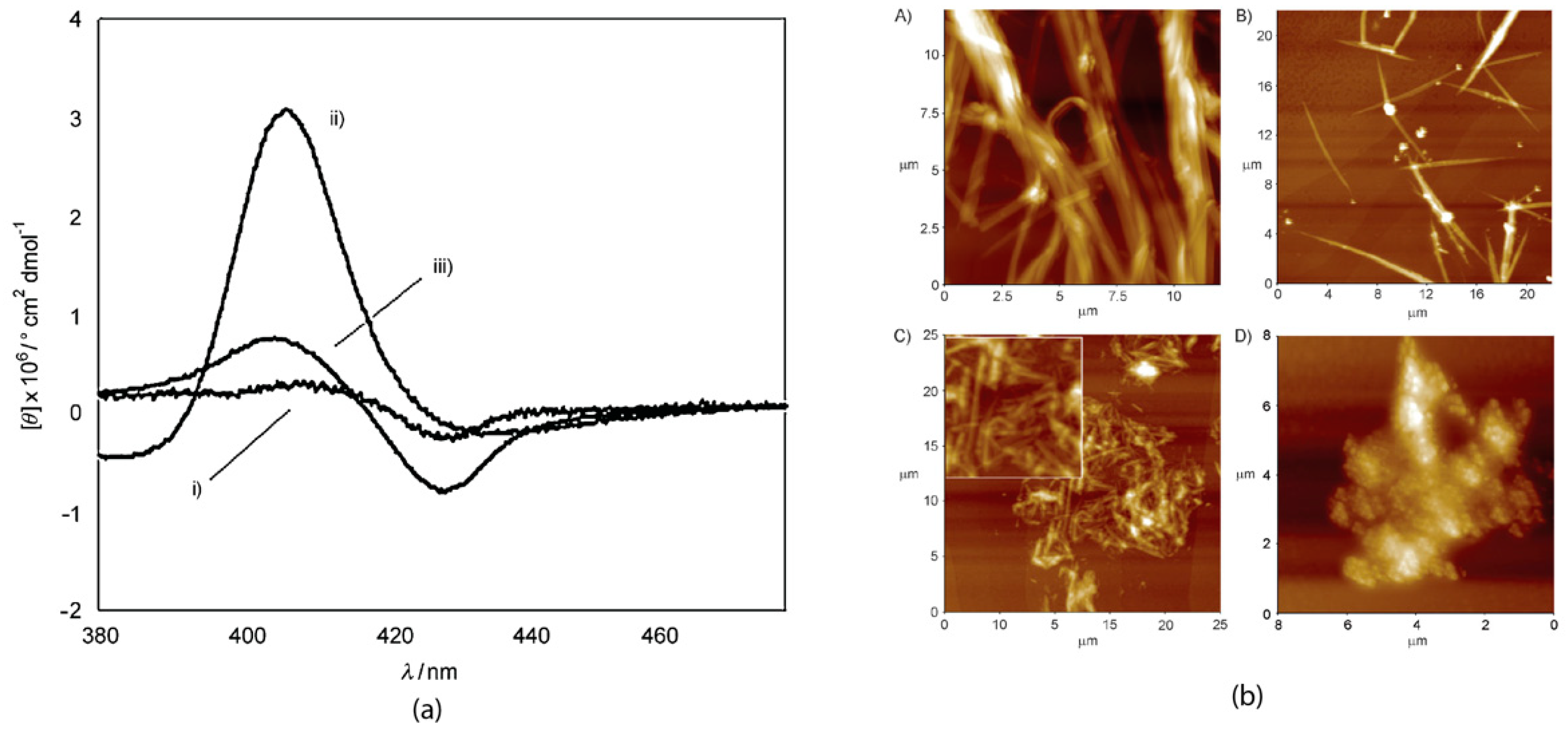 Molecules 25 04544 g007