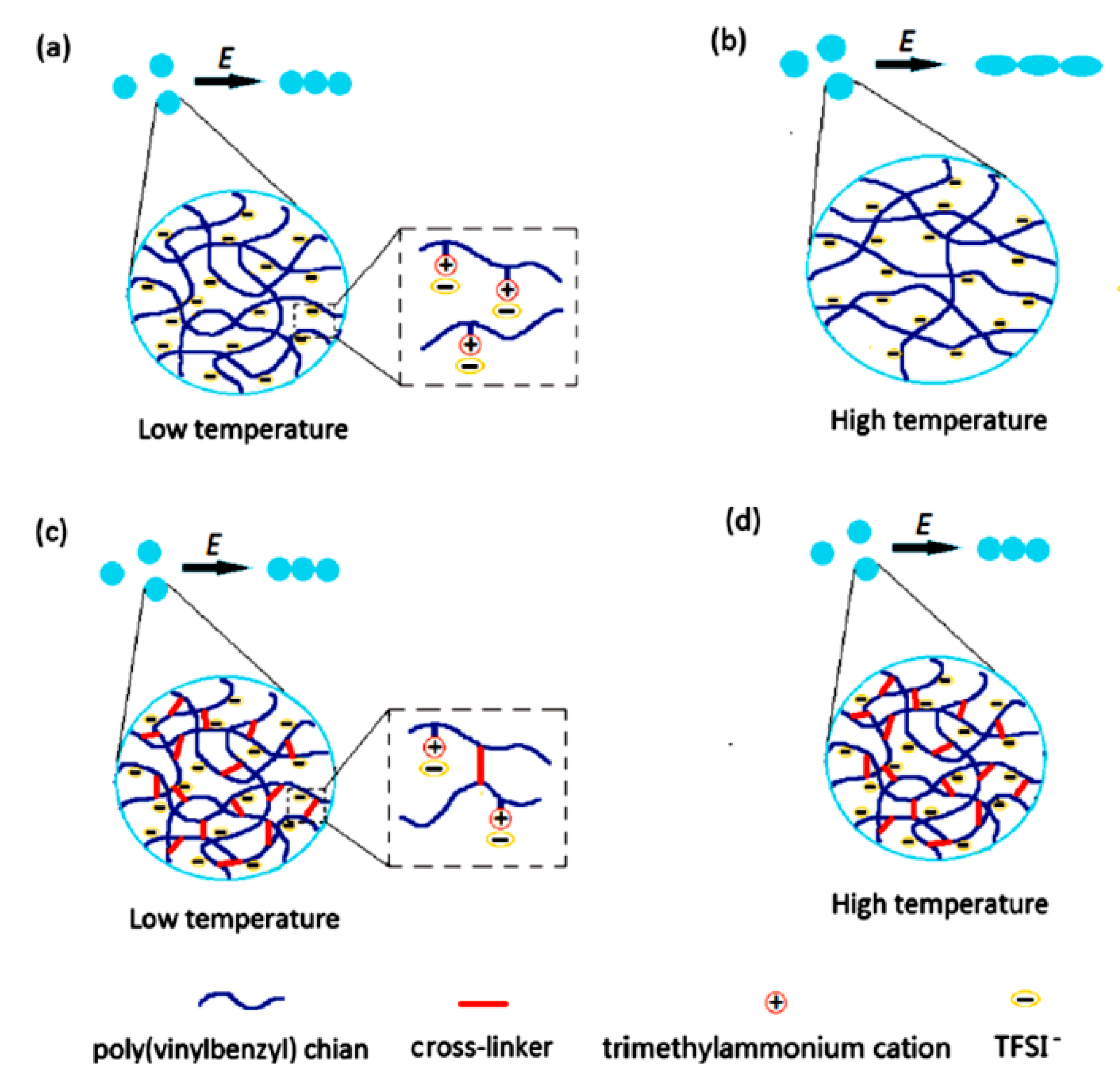 Molecules 25 04547 g007