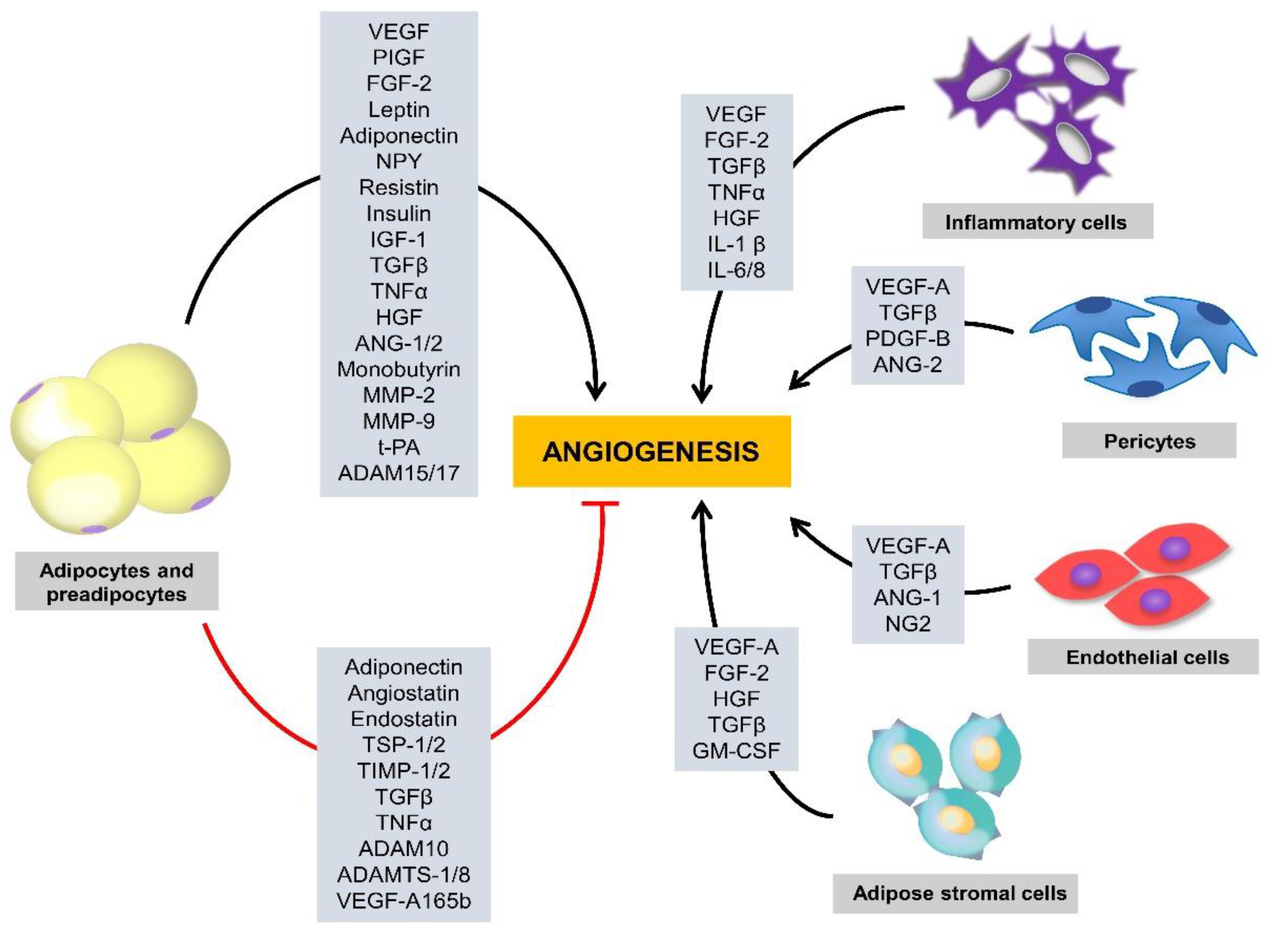 Molecules 25 04549 g001