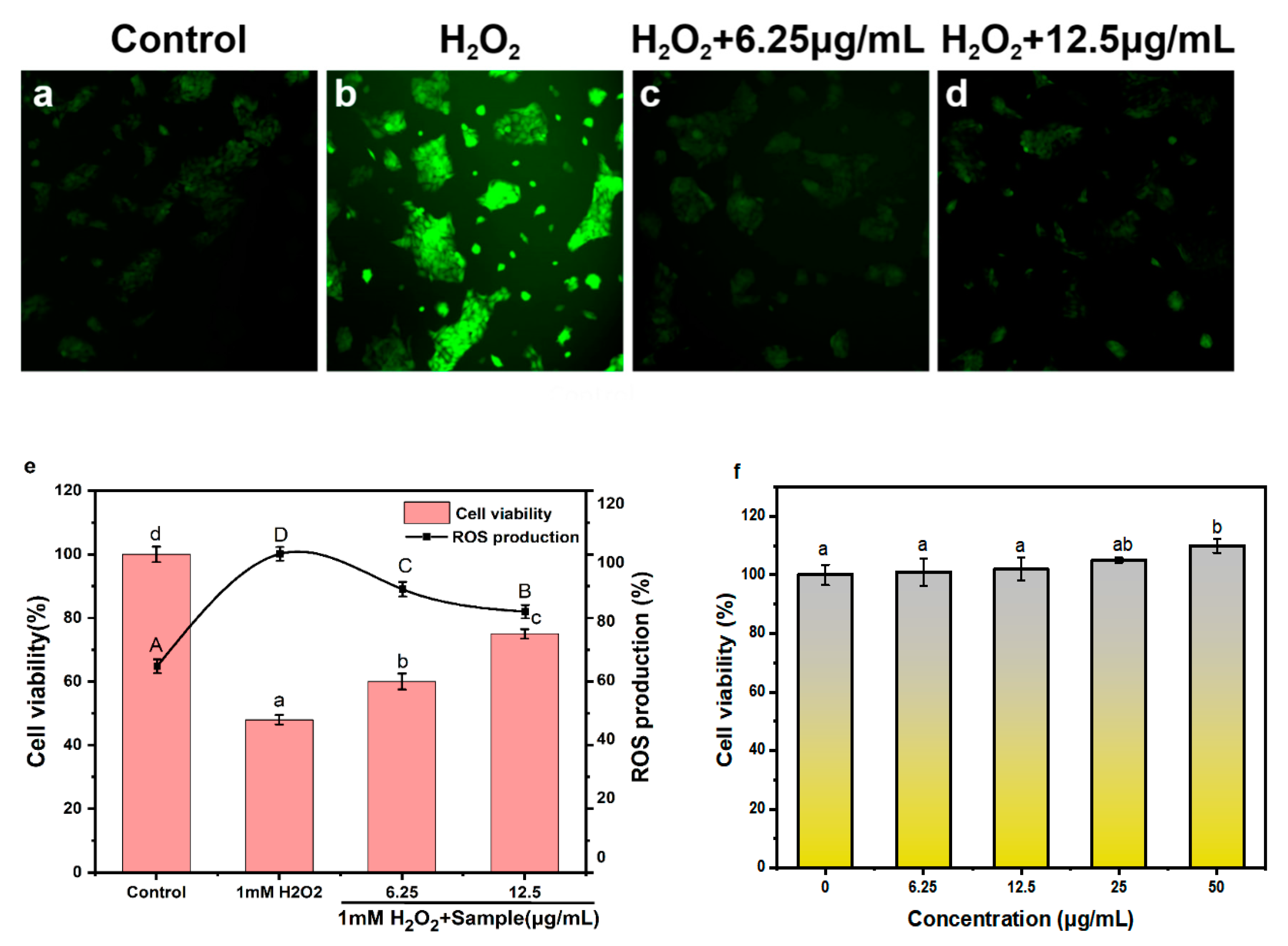 Molecules 25 04550 g005