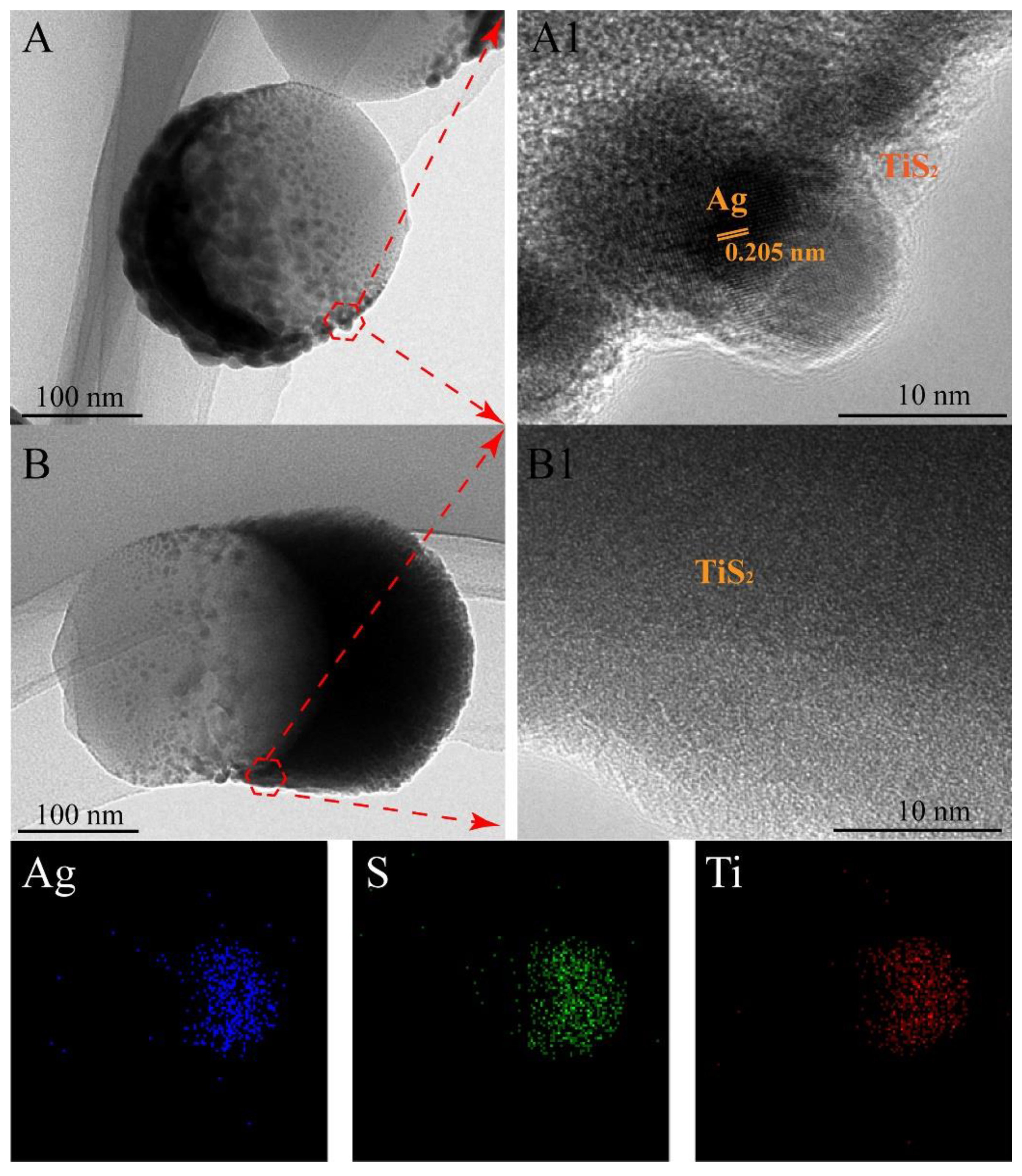 Molecules 25 04551 g004