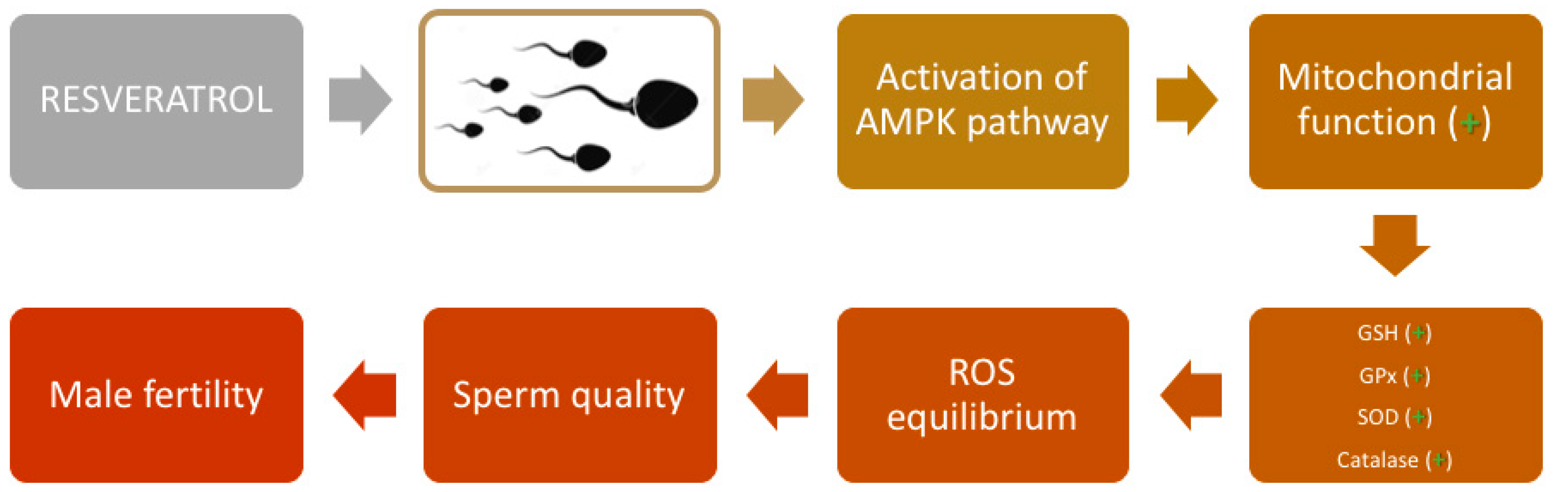 Molecules 25 04554 g003