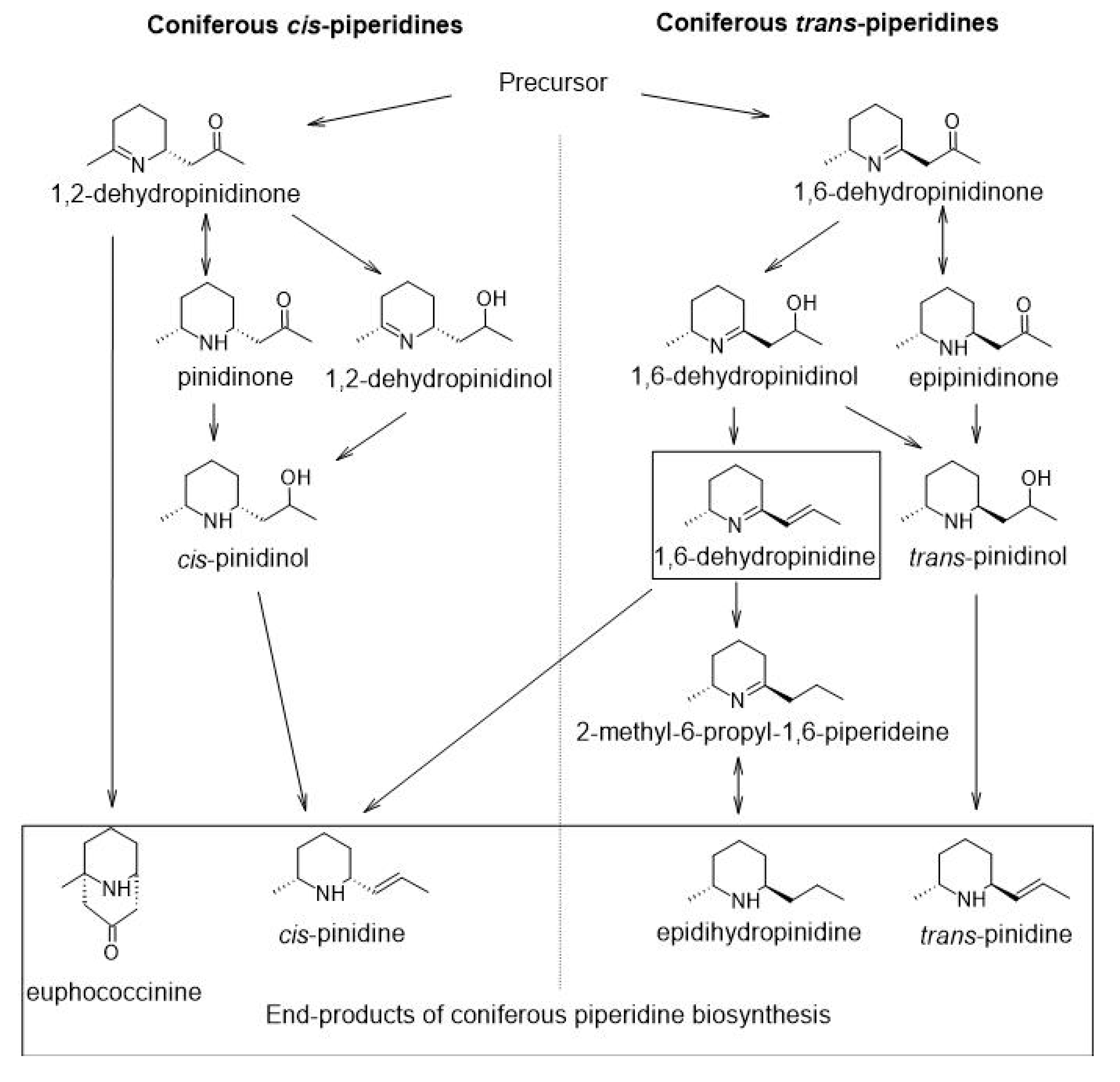 Molecules 25 04558 g001 Molecules 25 04558 g001