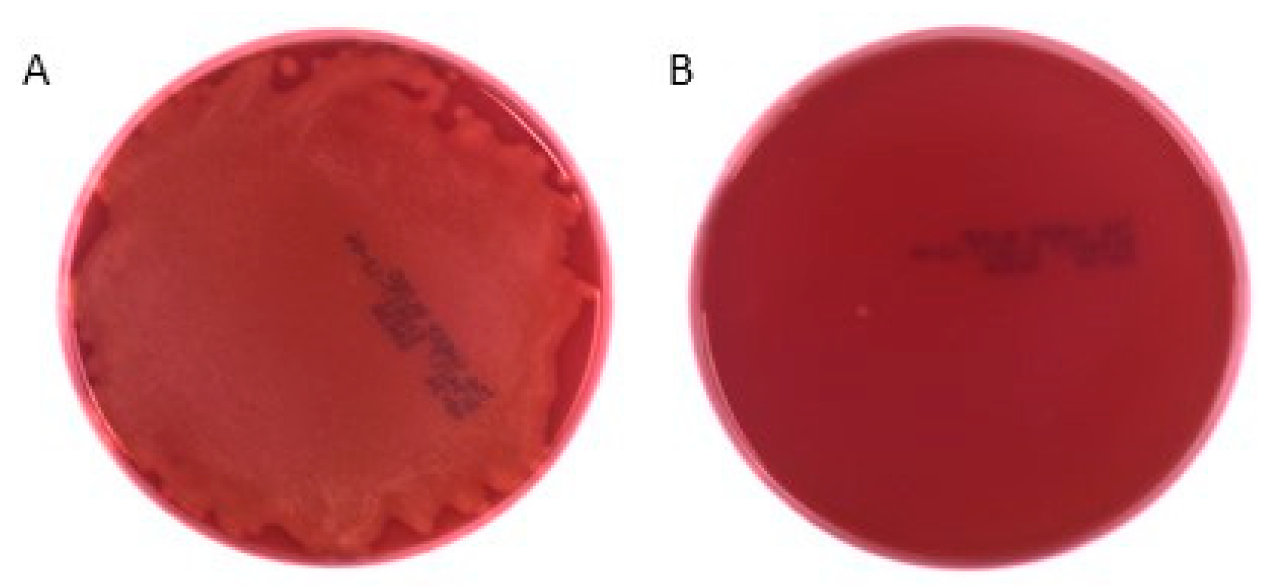 Molecules 25 04558 g006 Molecules 25 04558 g006