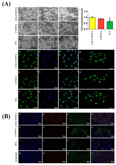 Molecules 25 04559 g005 550