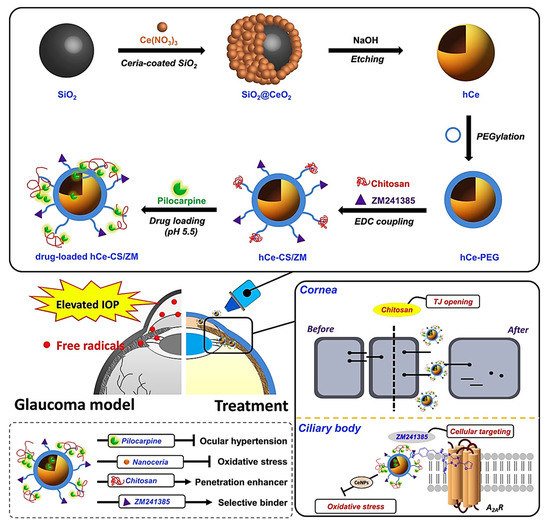 Molecules 25 04559 g007 550