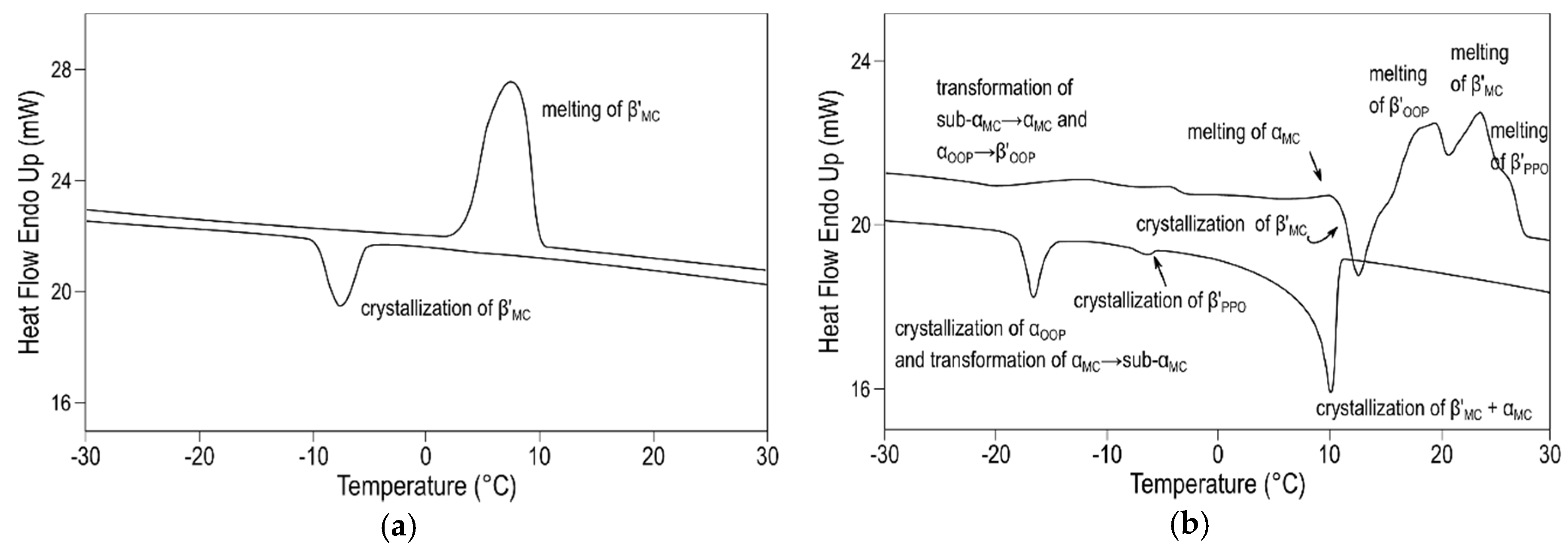 Molecules 25 04562 g009