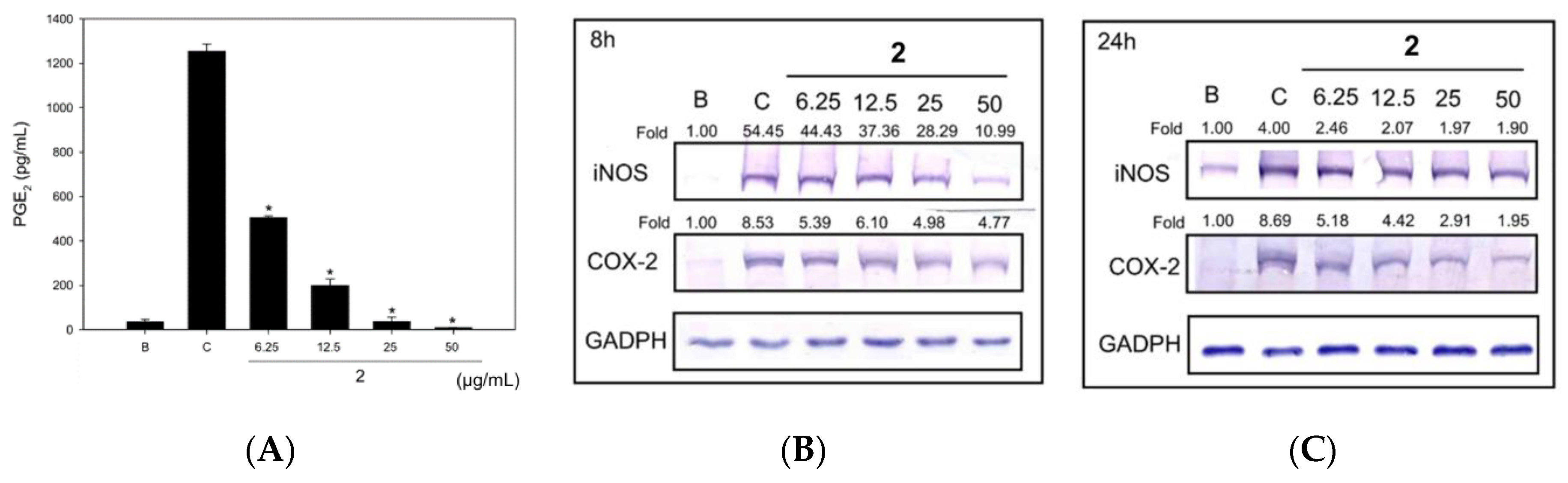 Molecules 25 04563 g003 Molecules 25 04563 g003
