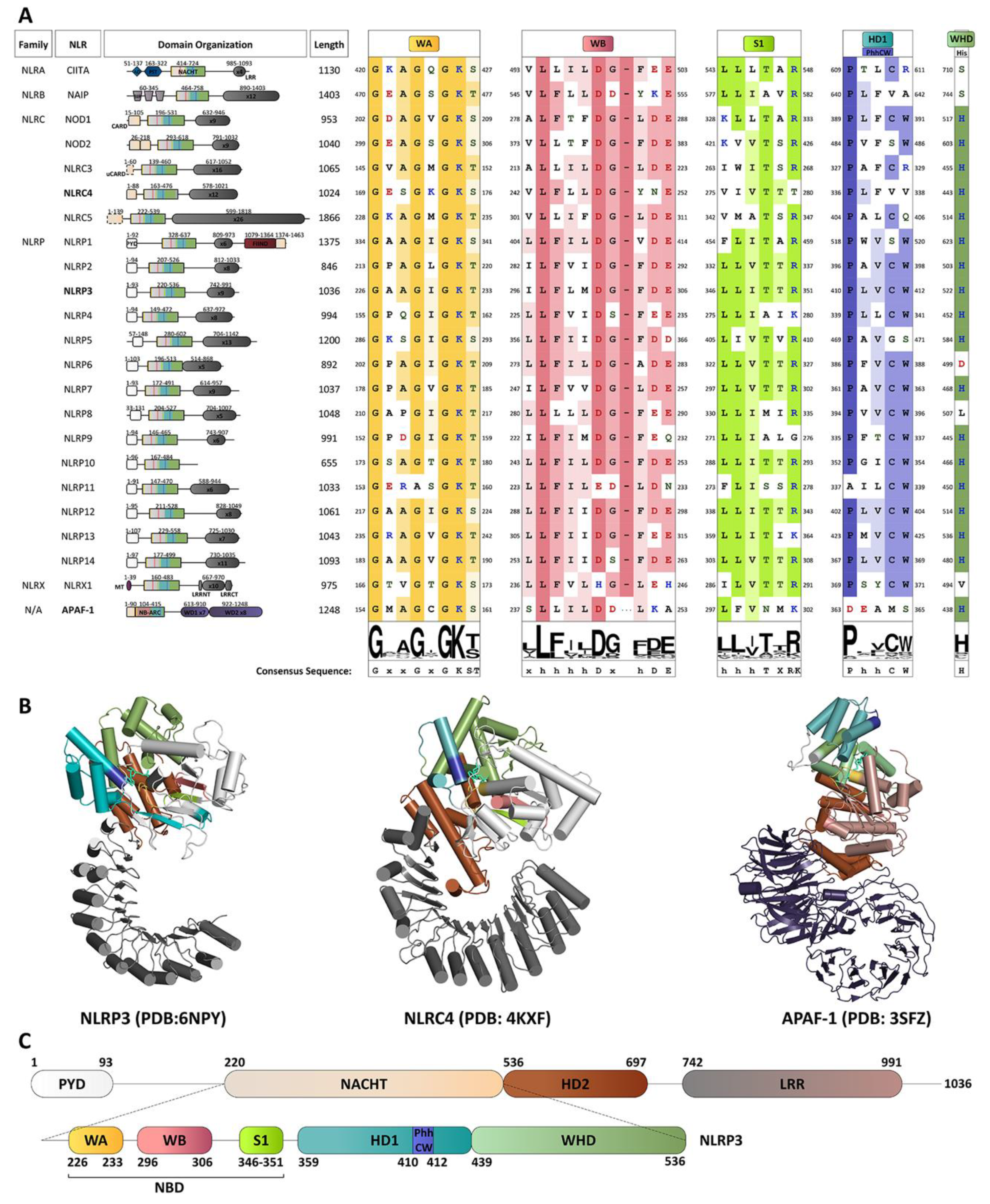 Molecules 25 04572 g001 Molecules 25 04572 g001