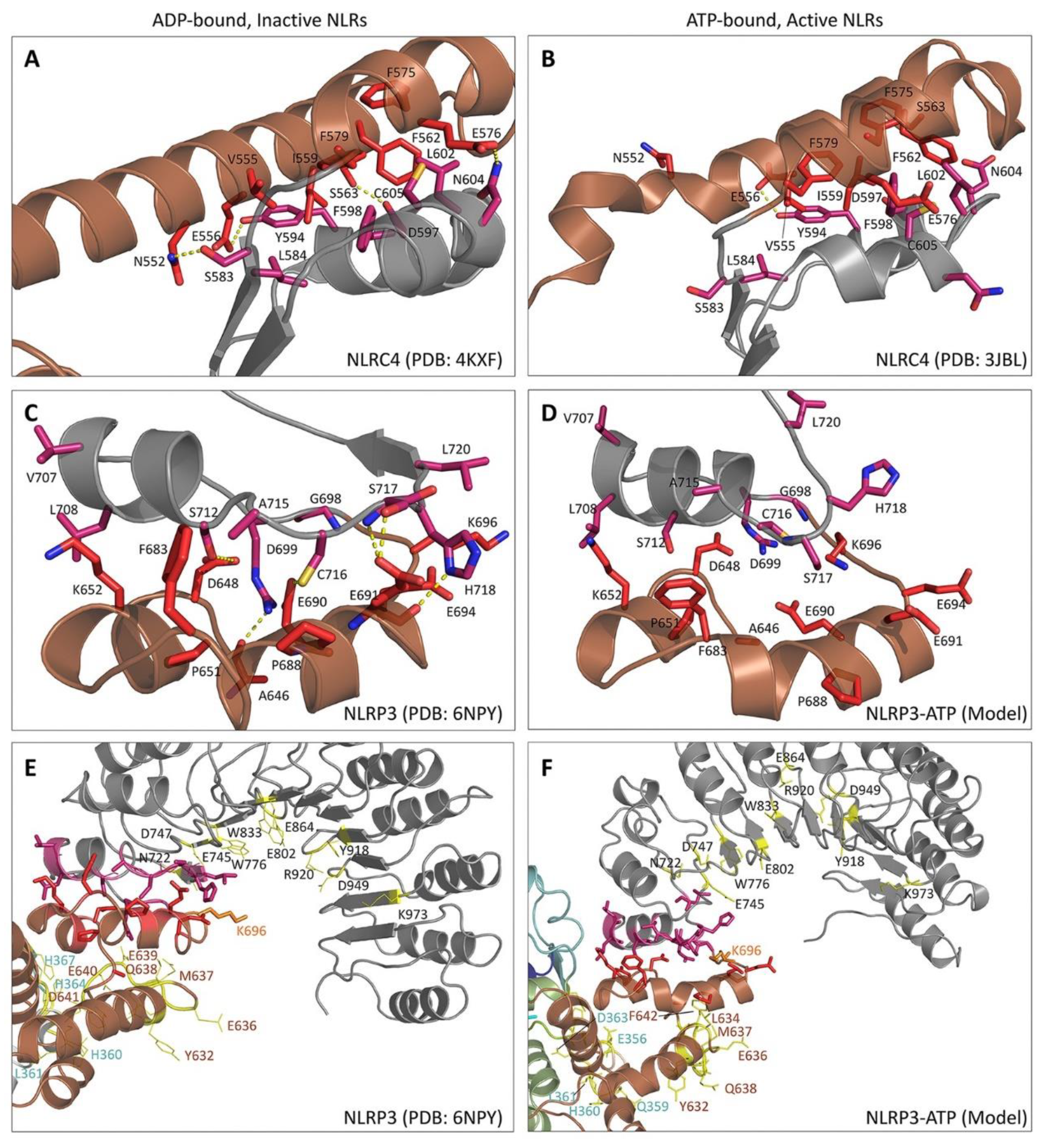 Molecules 25 04572 g004 Molecules 25 04572 g004