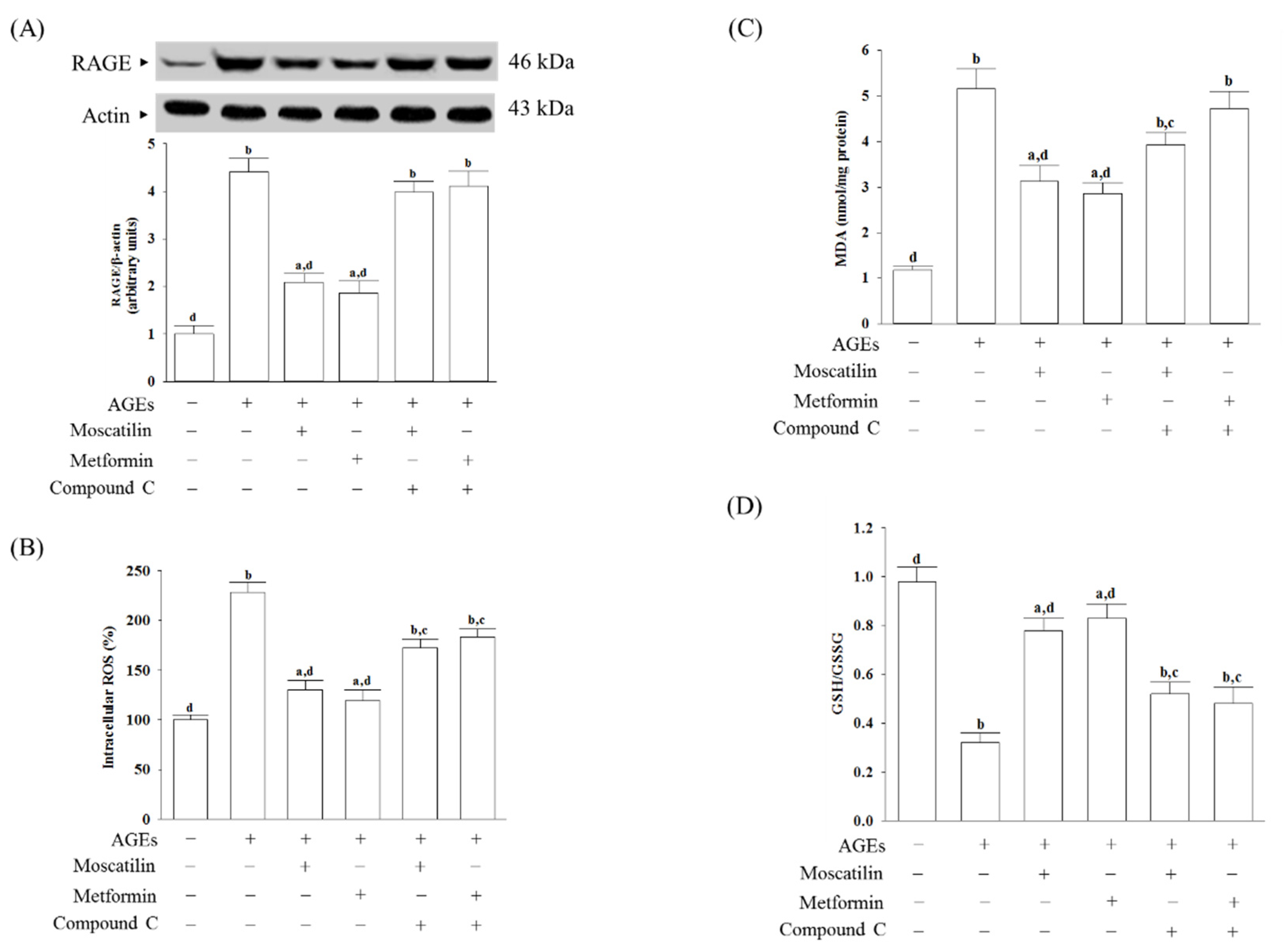 Molecules 25 04574 g002