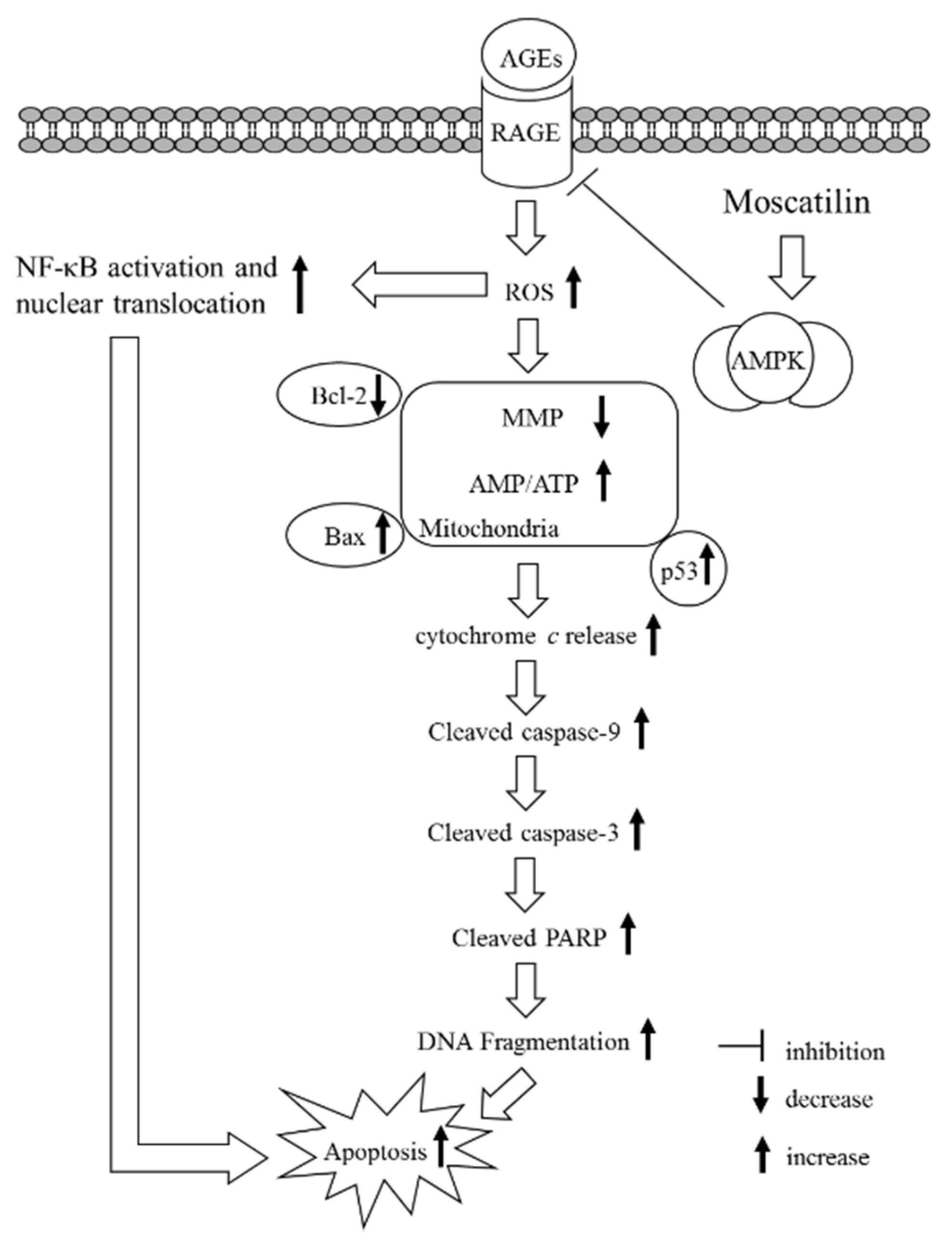 Molecules 25 04574 g006