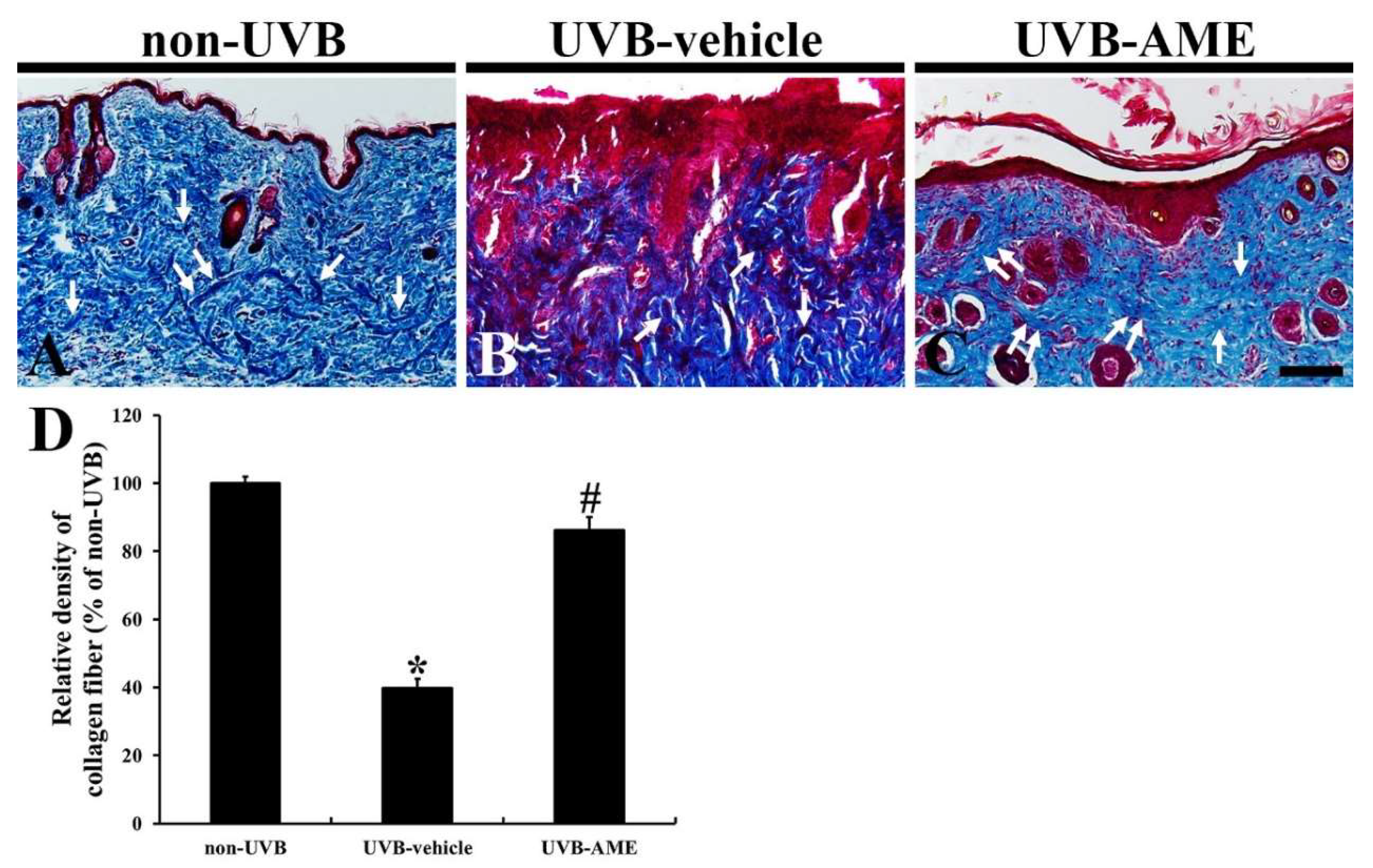 Molecules 25 04577 g004
