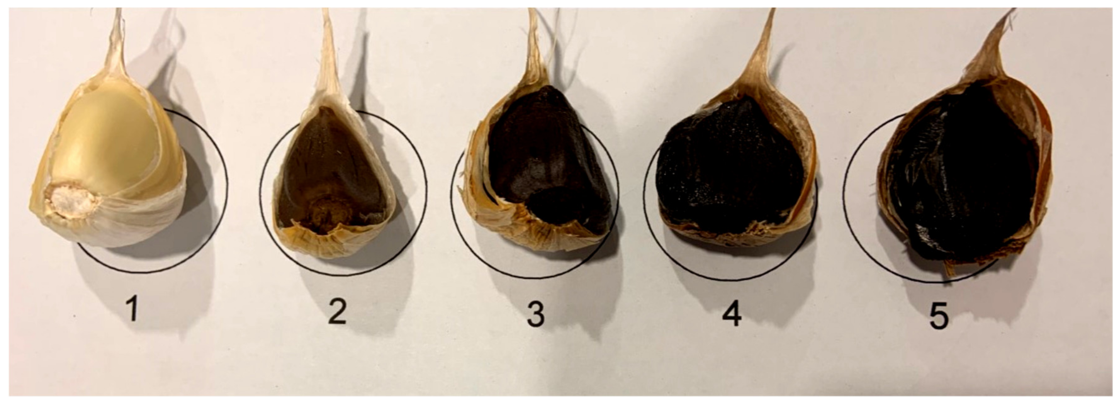 Molecules 25 04578 g001