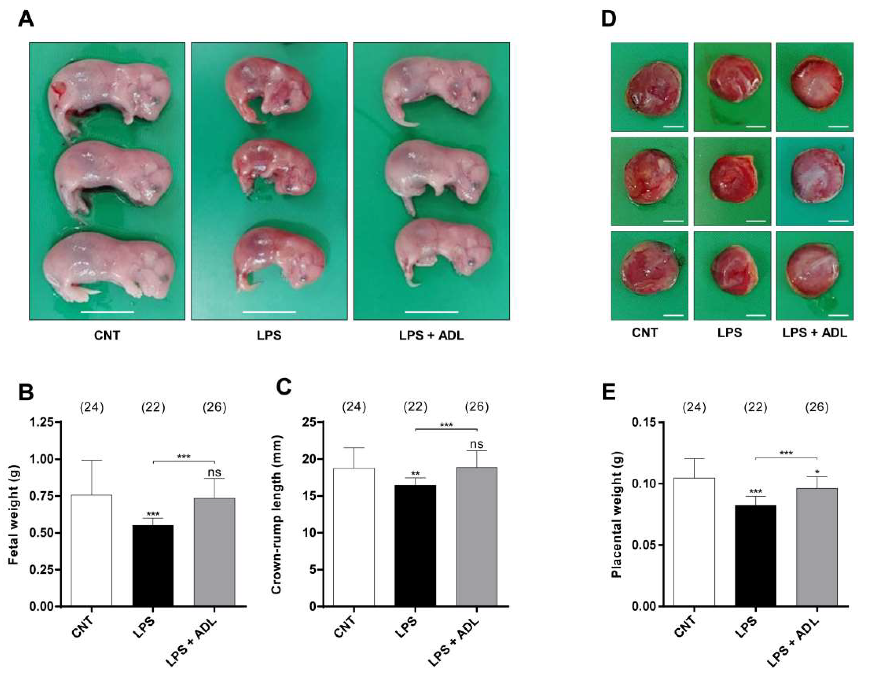 Molecules 25 04579 g003