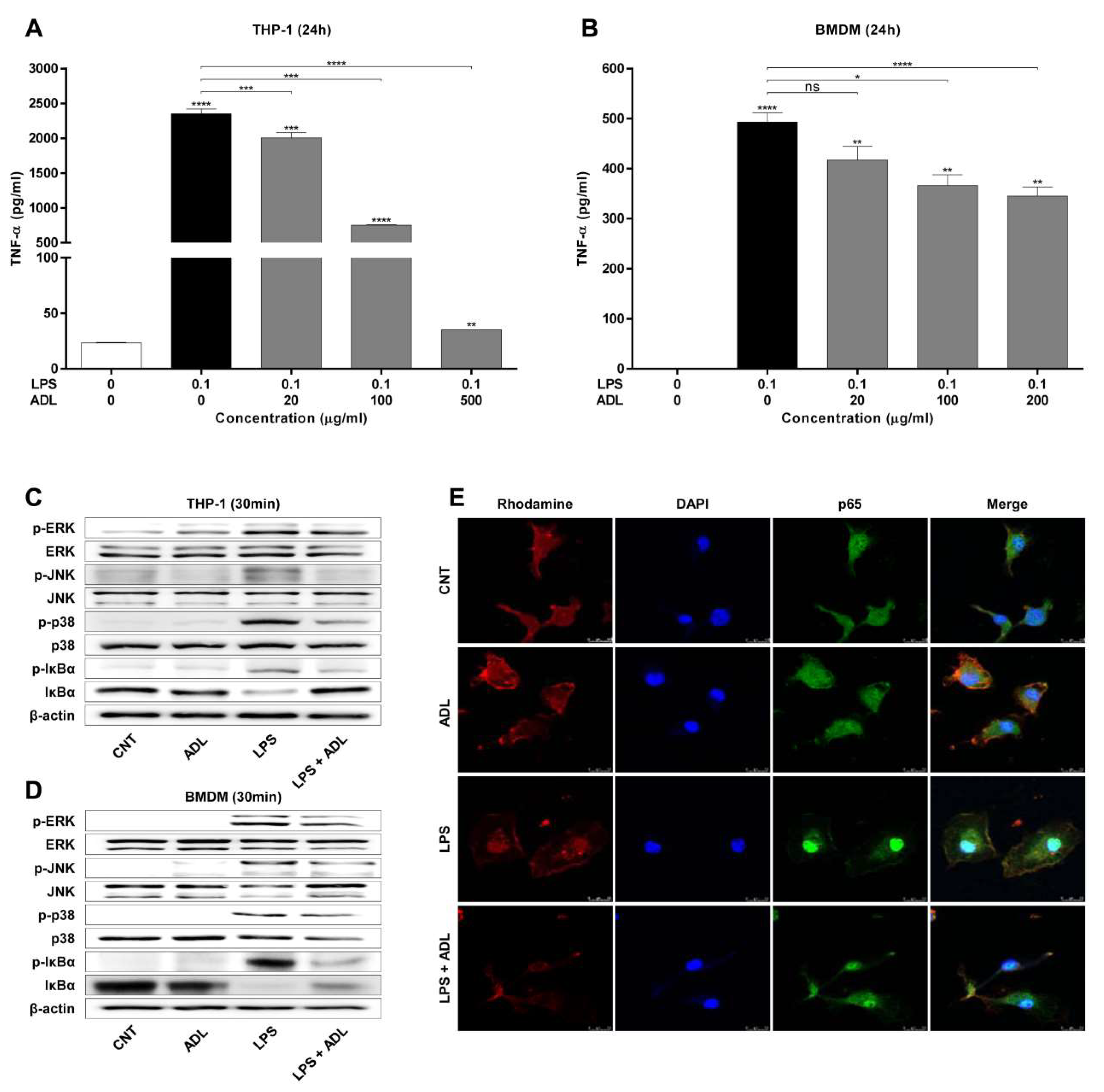Molecules 25 04579 g005