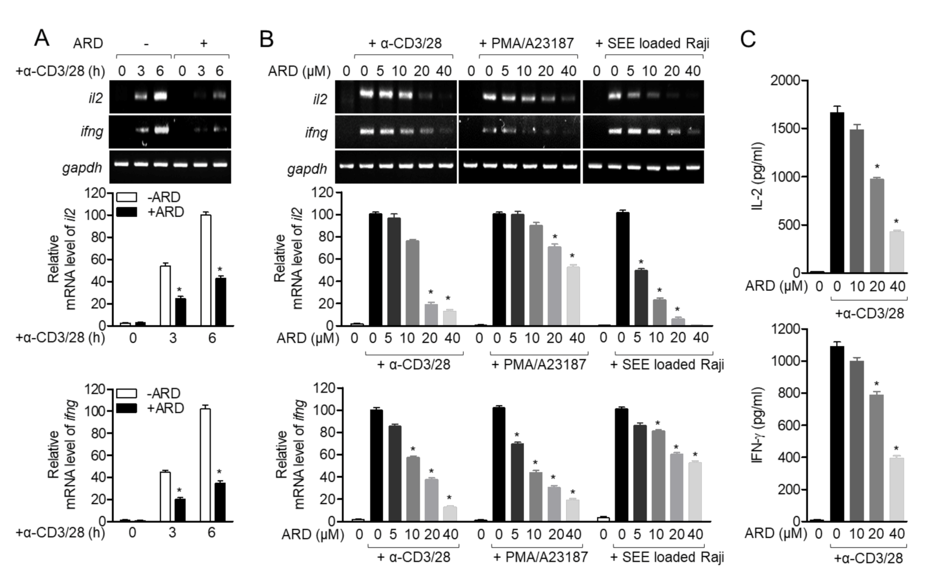 Molecules 25 04590 g003