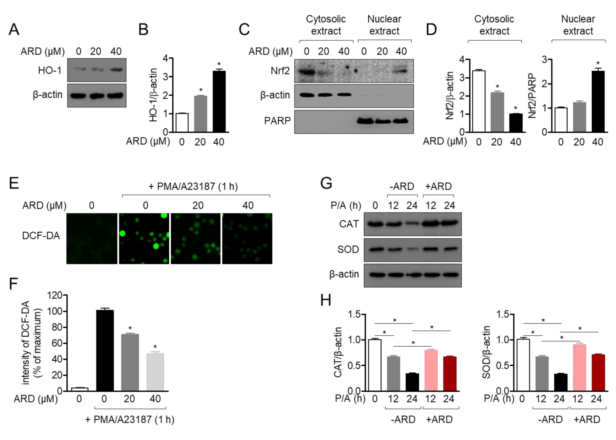 Molecules 25 04590 g008