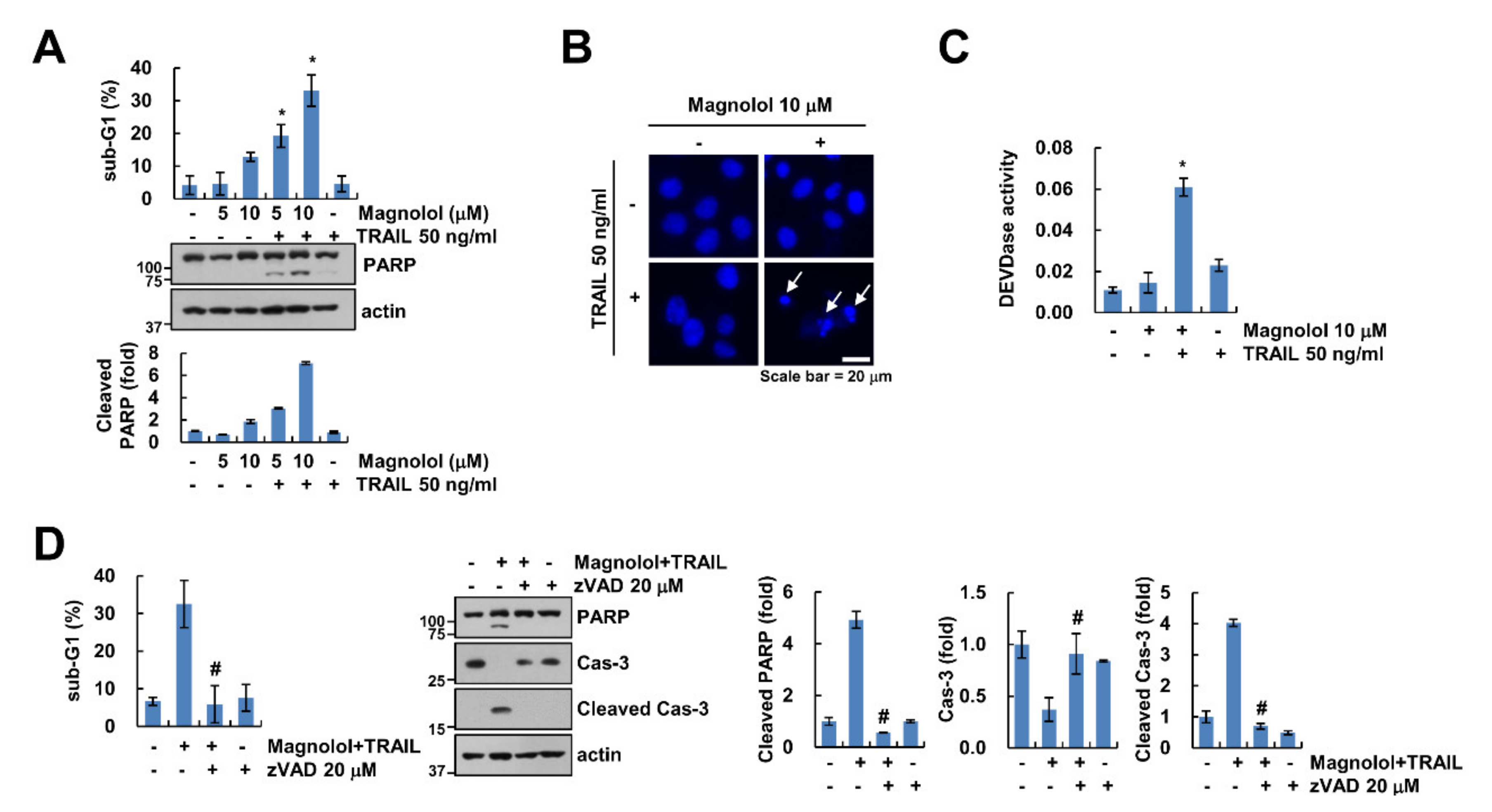 Molecules 25 04591 g001 Molecules 25 04591 g001