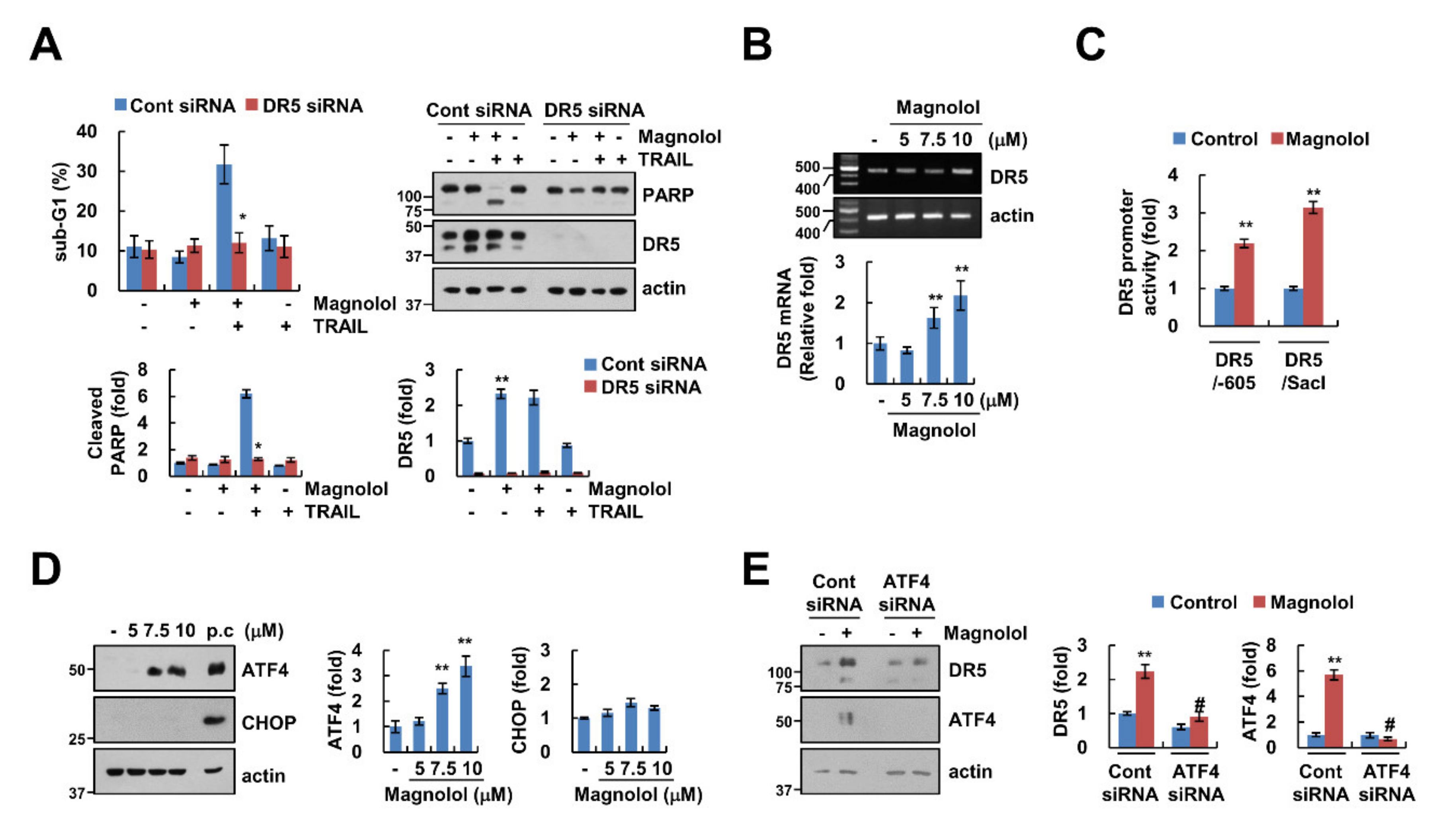 Molecules 25 04591 g003 Molecules 25 04591 g003
