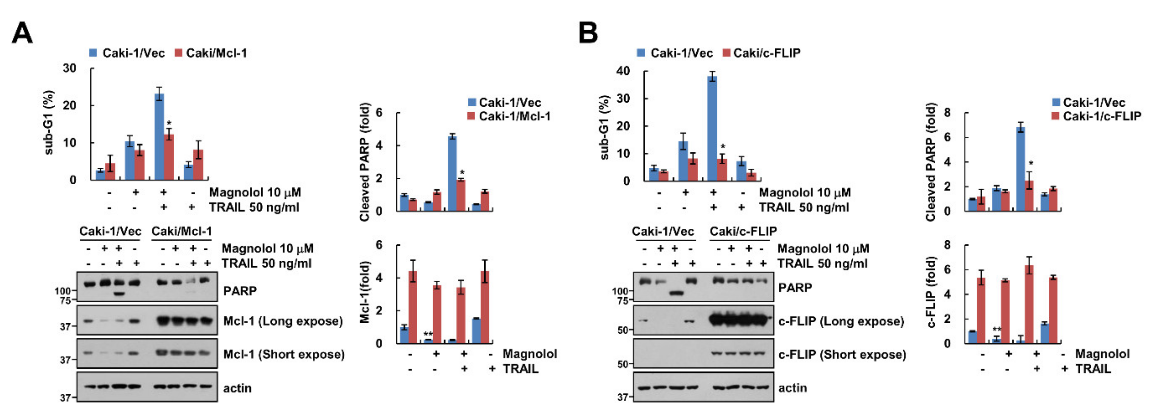Molecules 25 04591 g004 Molecules 25 04591 g004