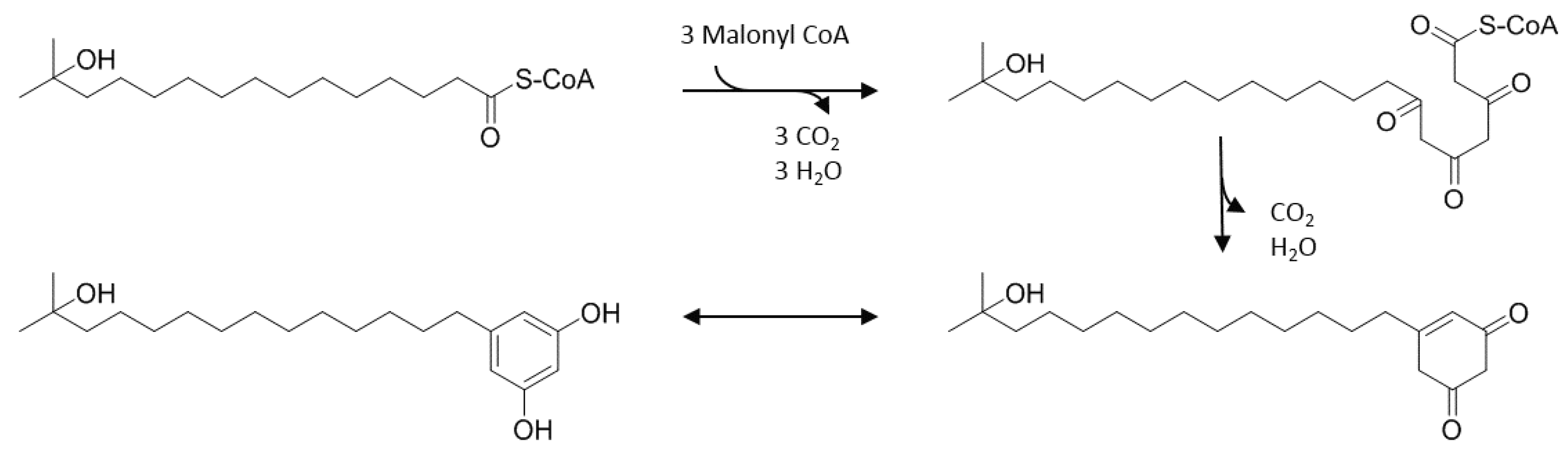 Molecules 25 04594 g004 Molecules 25 04594 g004