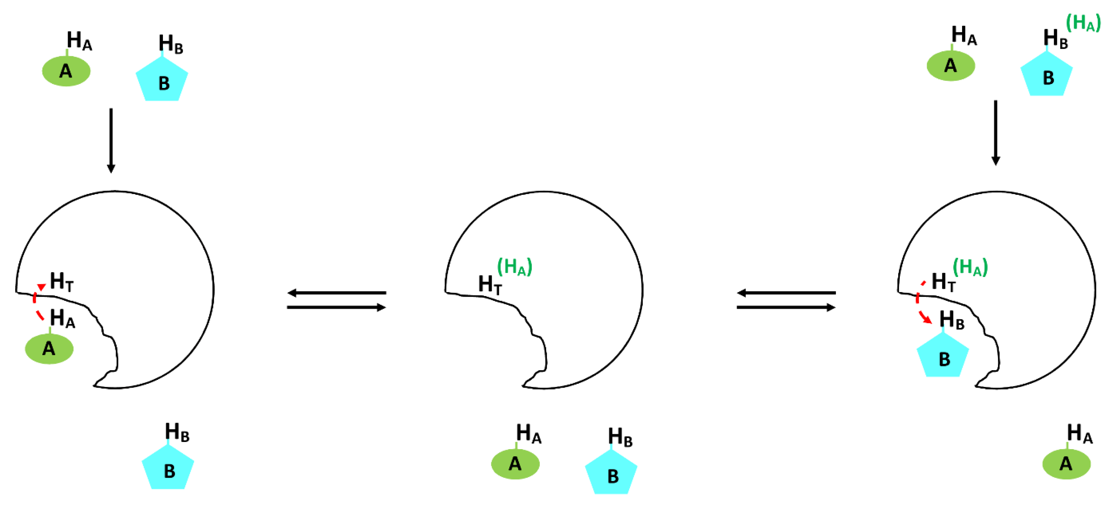 Molecules 25 04597 g010