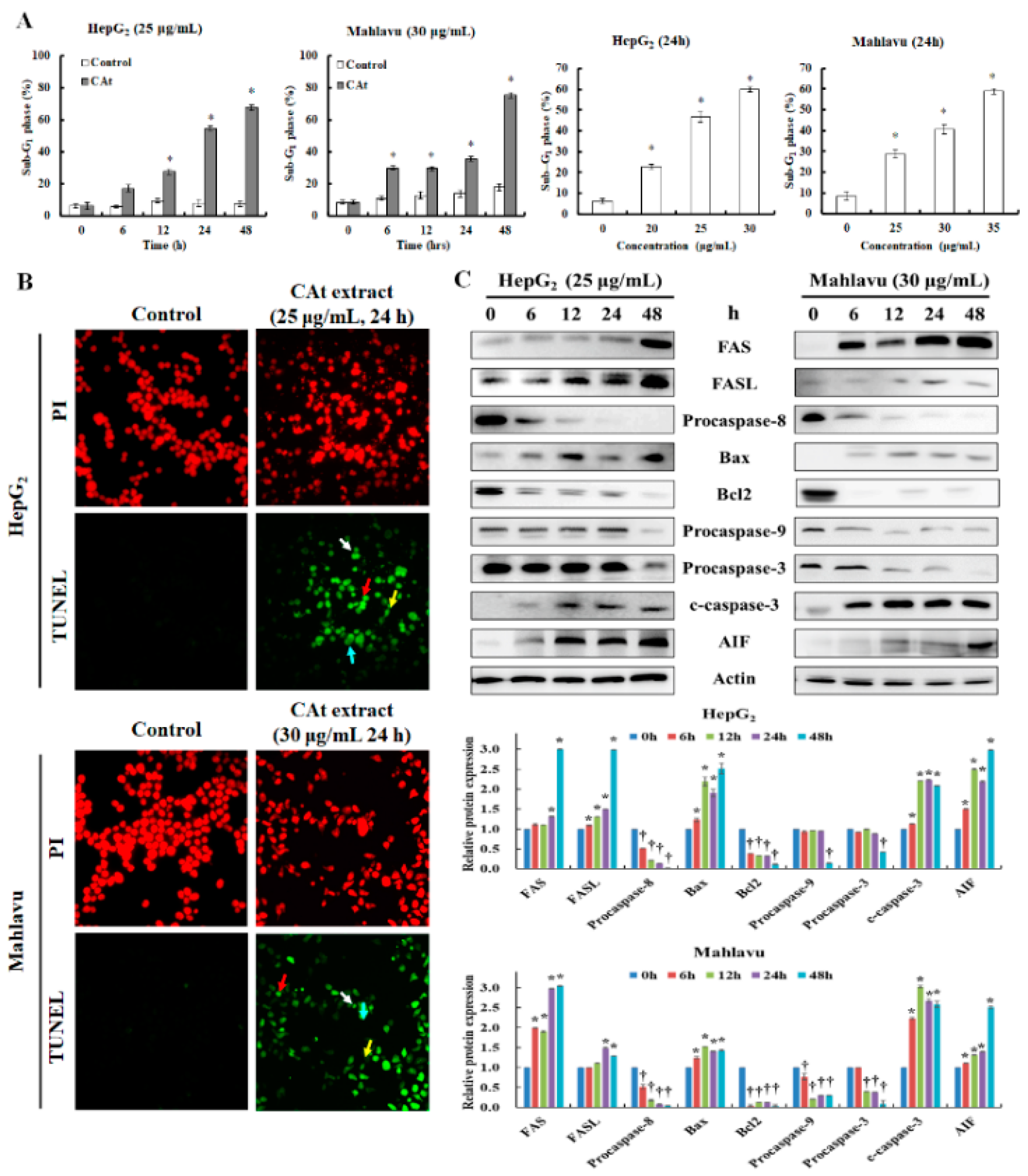 Molecules 25 04608 g004 Molecules 25 04608 g004