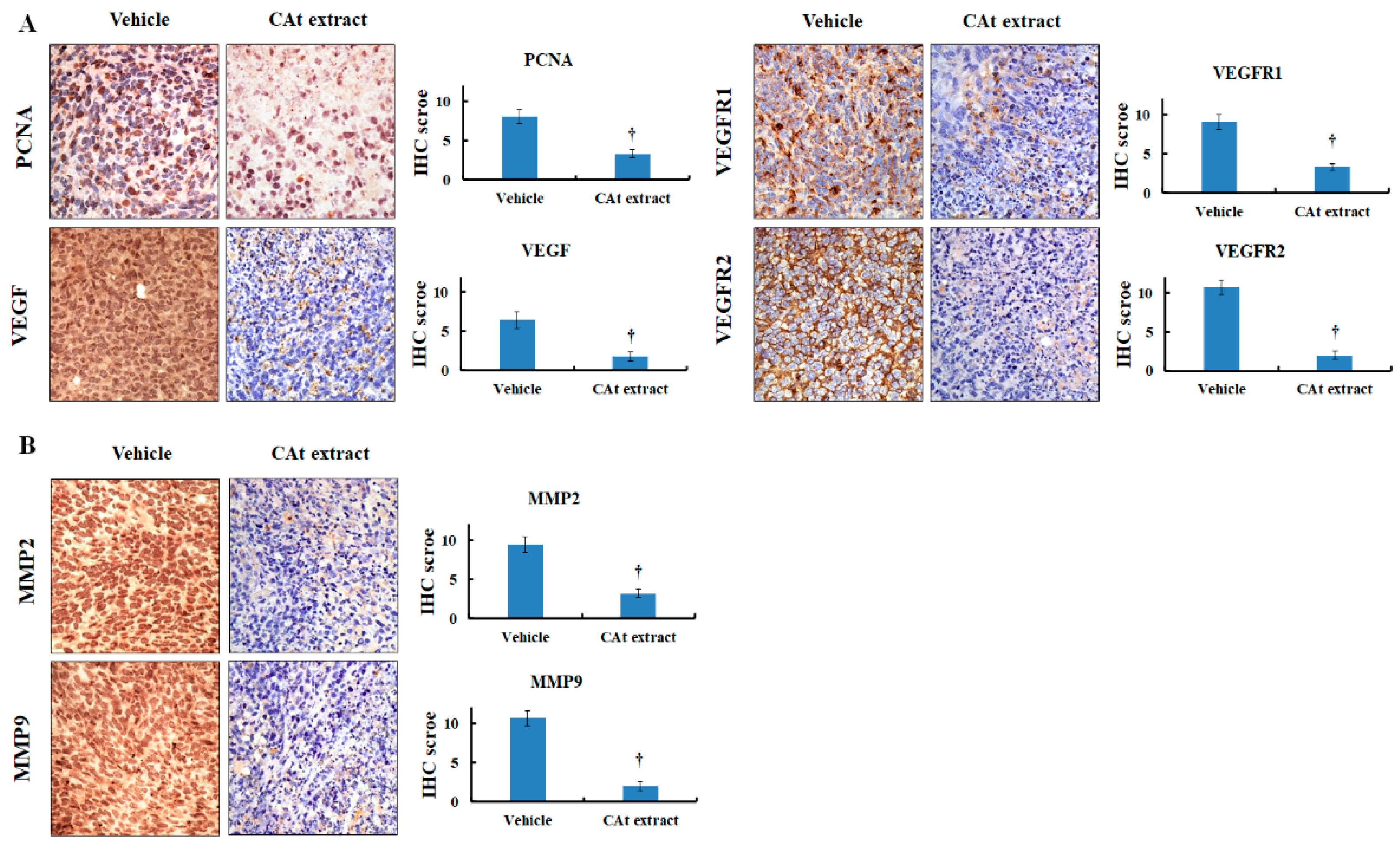 Molecules 25 04608 g007 Molecules 25 04608 g007
