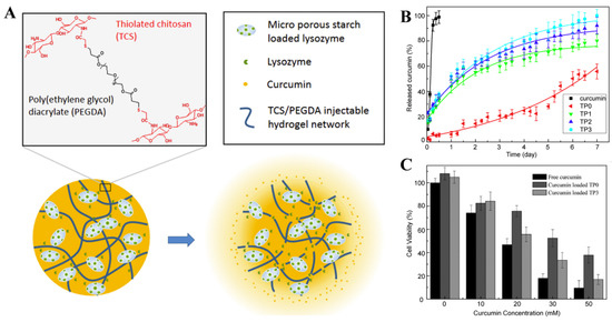 Nanoformulations to Enhance the Bioavailability and