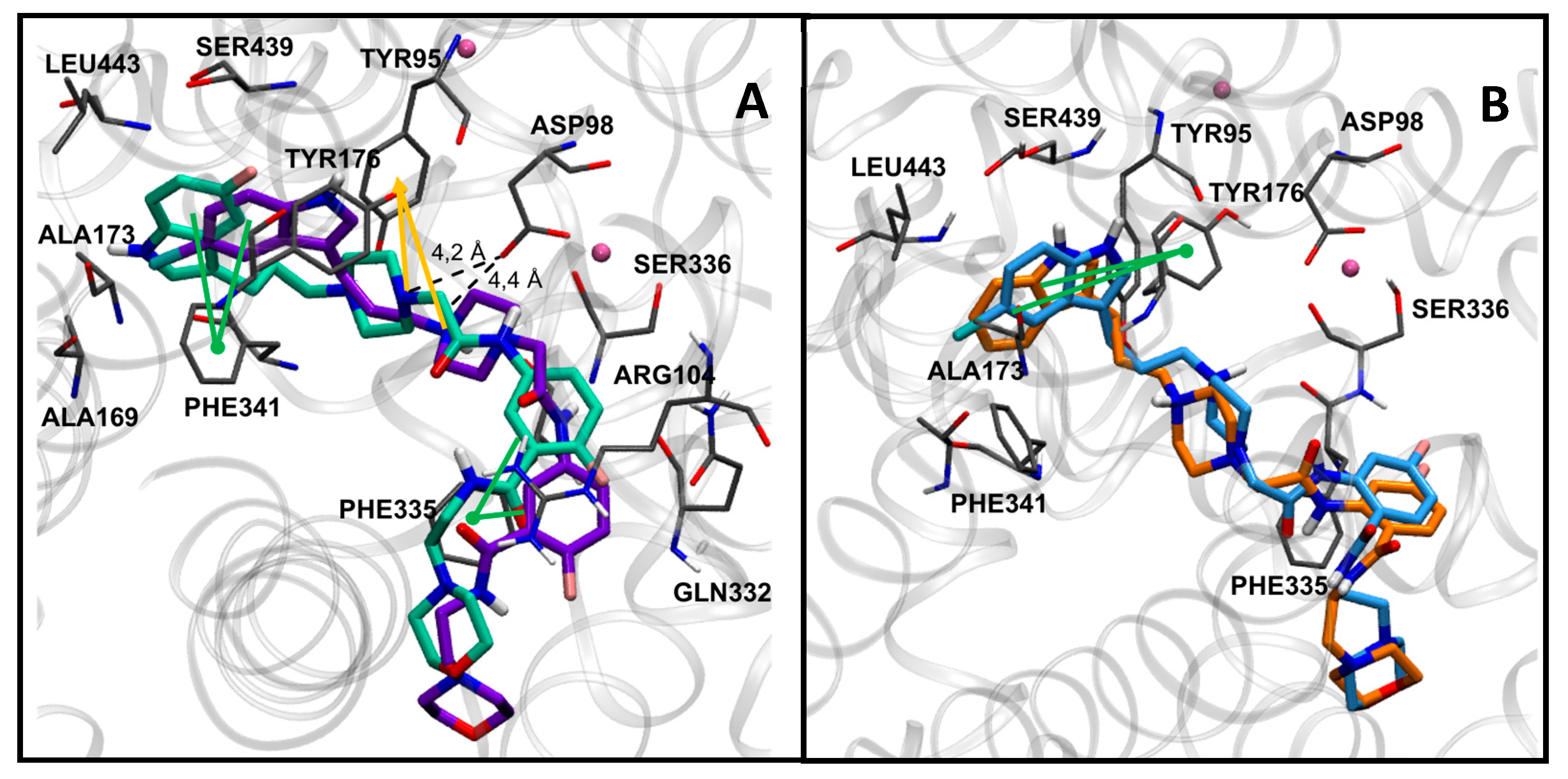 Molecules 25 04614 g004 Molecules 25 04614 g004