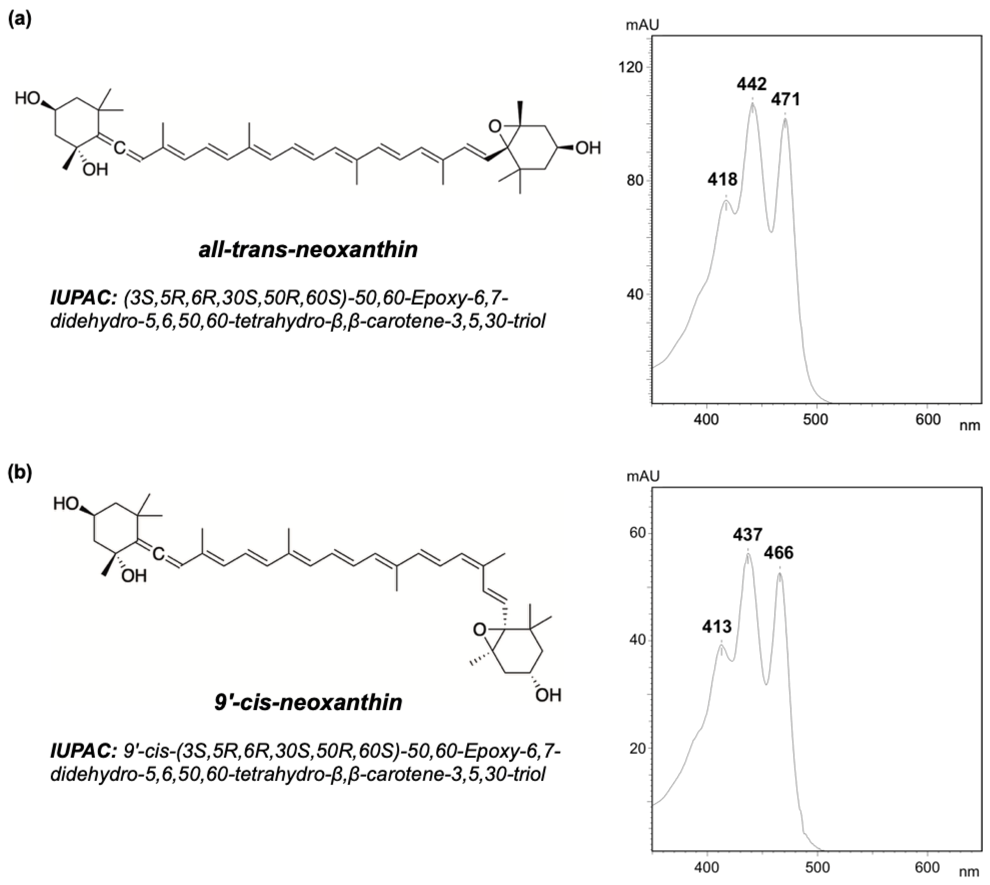 Molecules 25 04617 g001