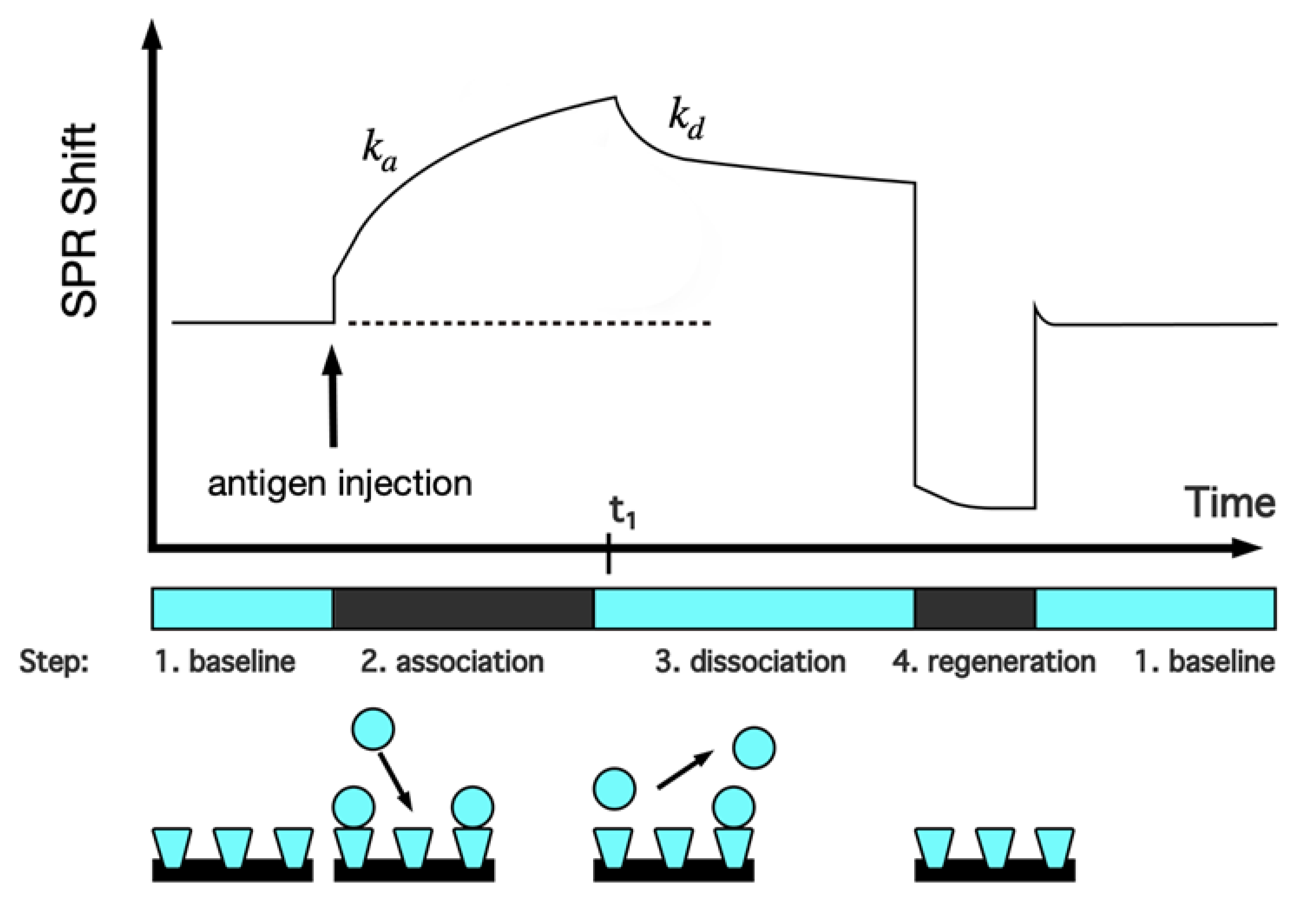 Molecules 25 04620 g007 Molecules 25 04620 g007