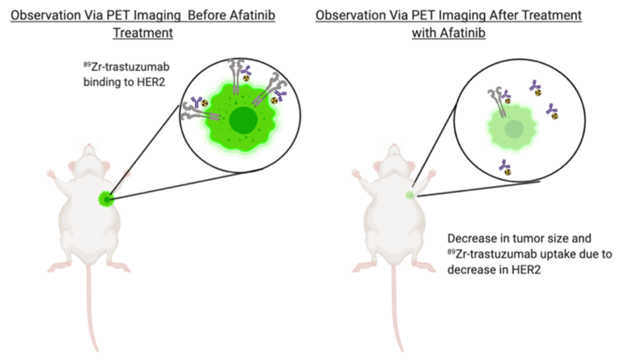 Molecules 25 04621 g002 Molecules 25 04621 g002