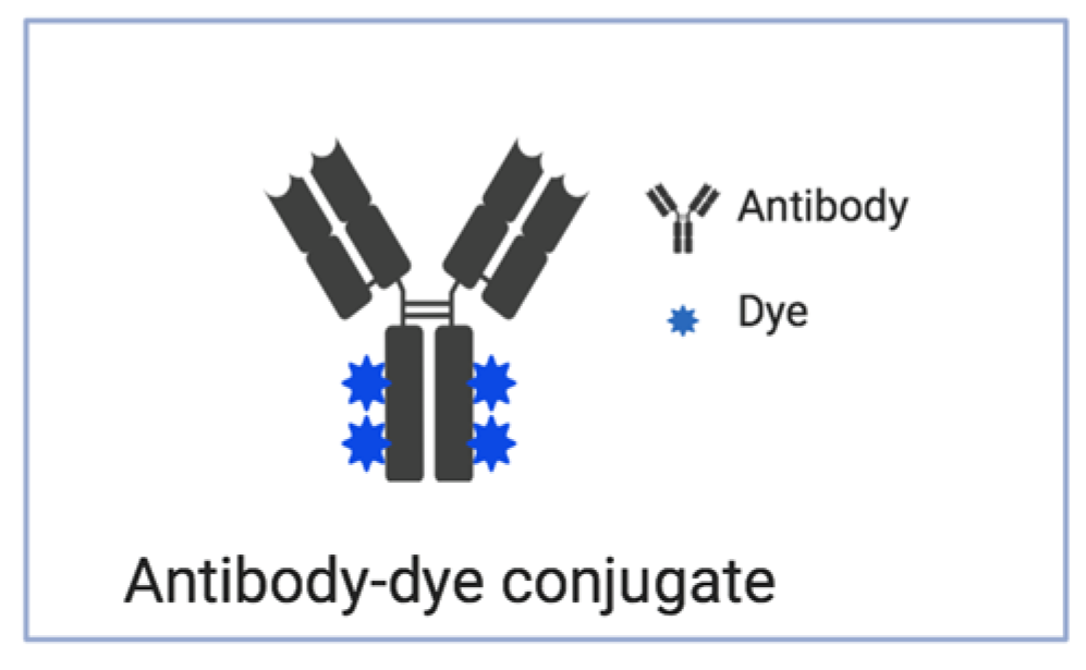 Molecules 25 04621 g003 Molecules 25 04621 g003