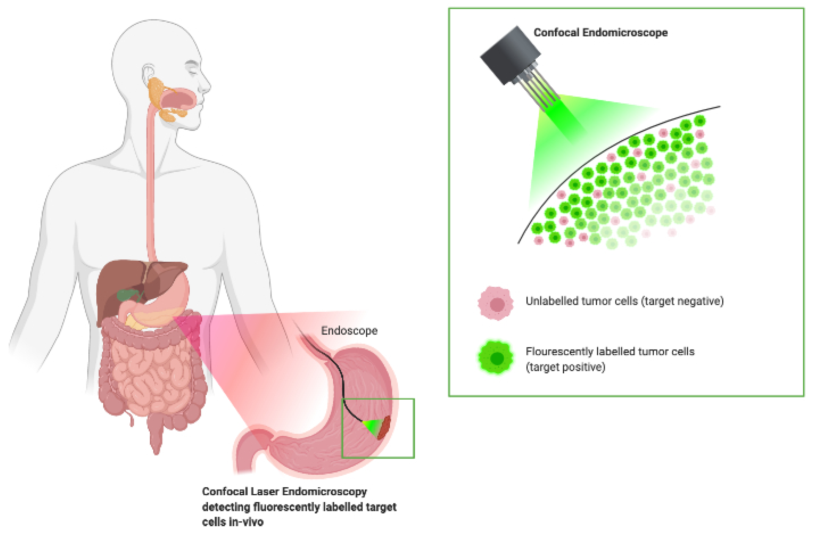 Molecules 25 04621 g004 Molecules 25 04621 g004