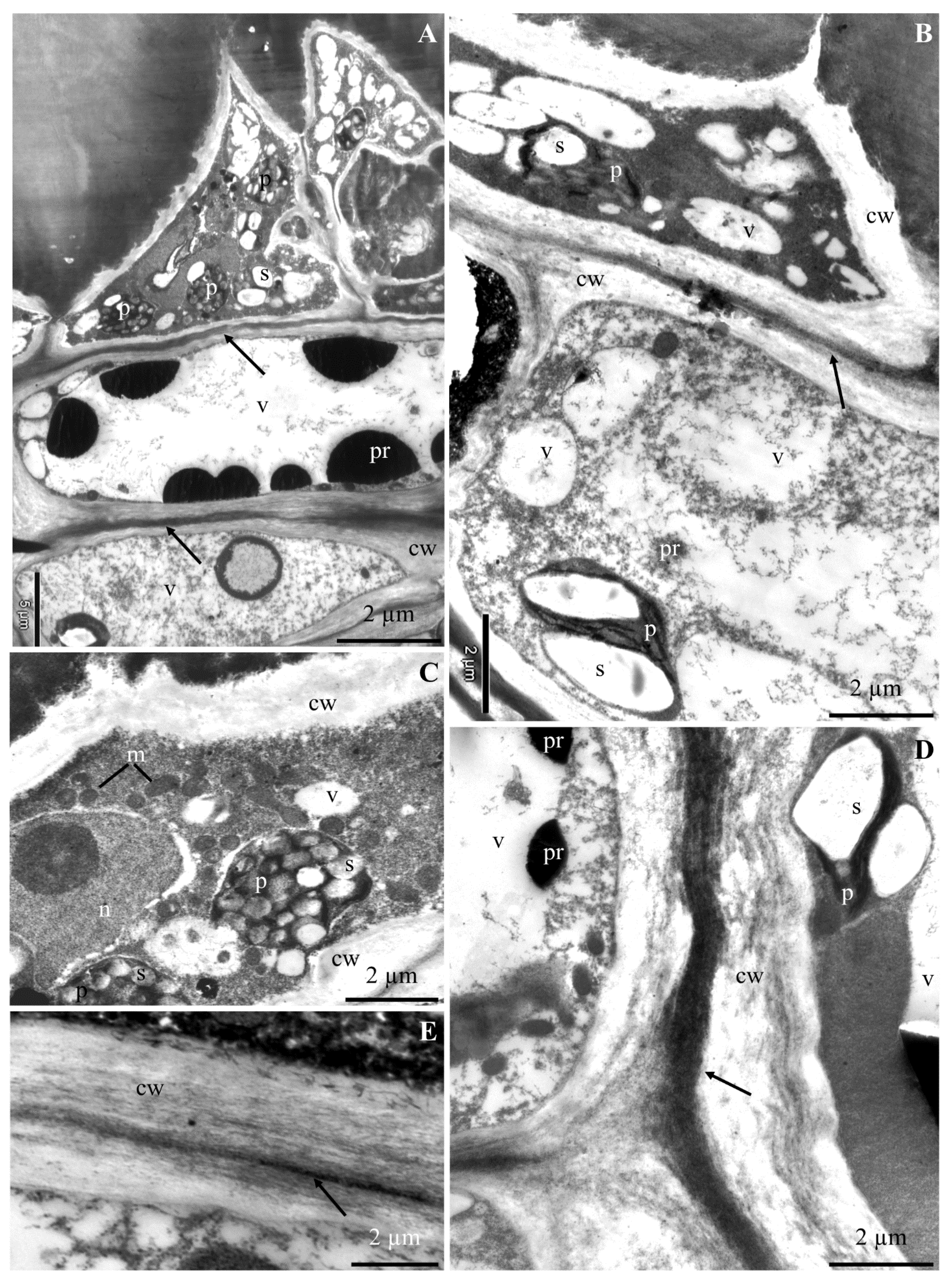 Molecules 25 04622 g003 Molecules 25 04622 g003