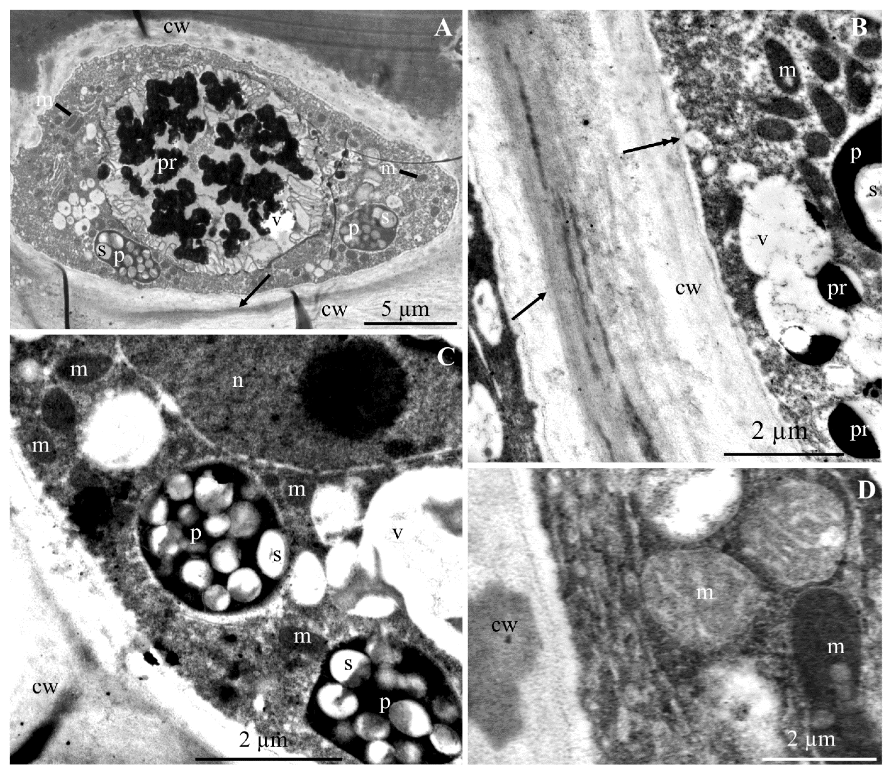 Molecules 25 04622 g004 Molecules 25 04622 g004