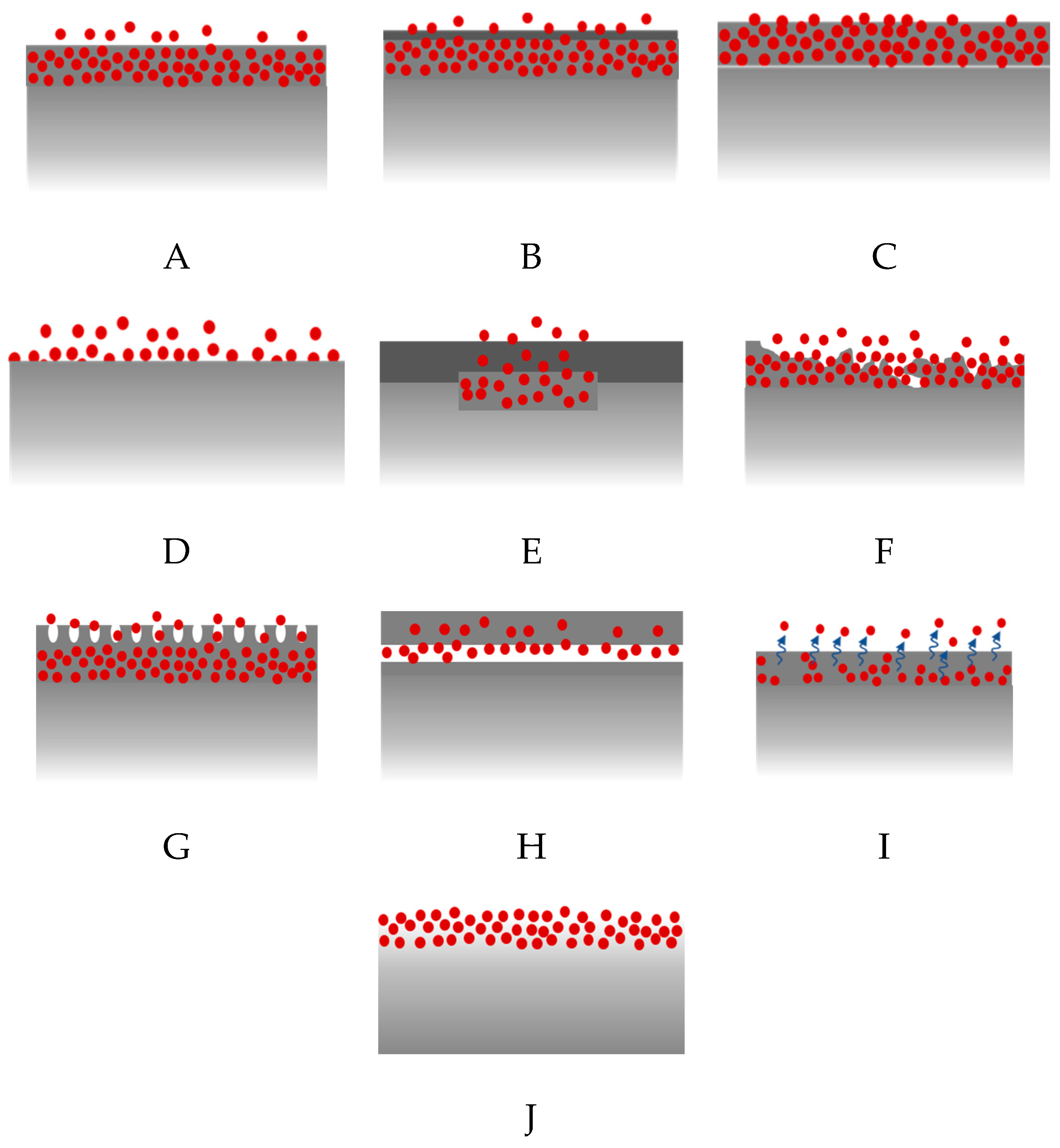 Molecules 25 04624 g007