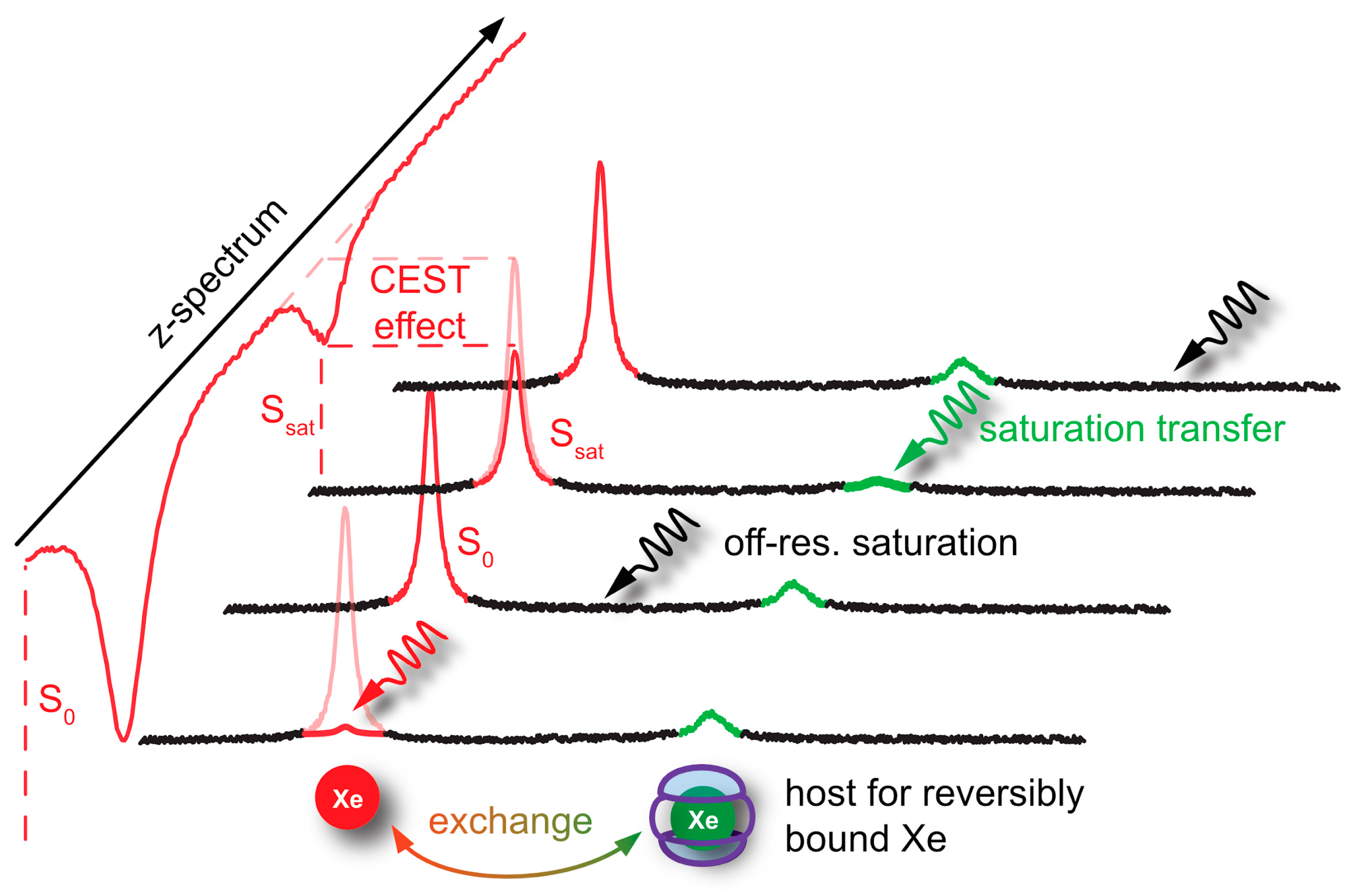Molecules | Free Full-Text | Molecular Sensing with Host Systems 