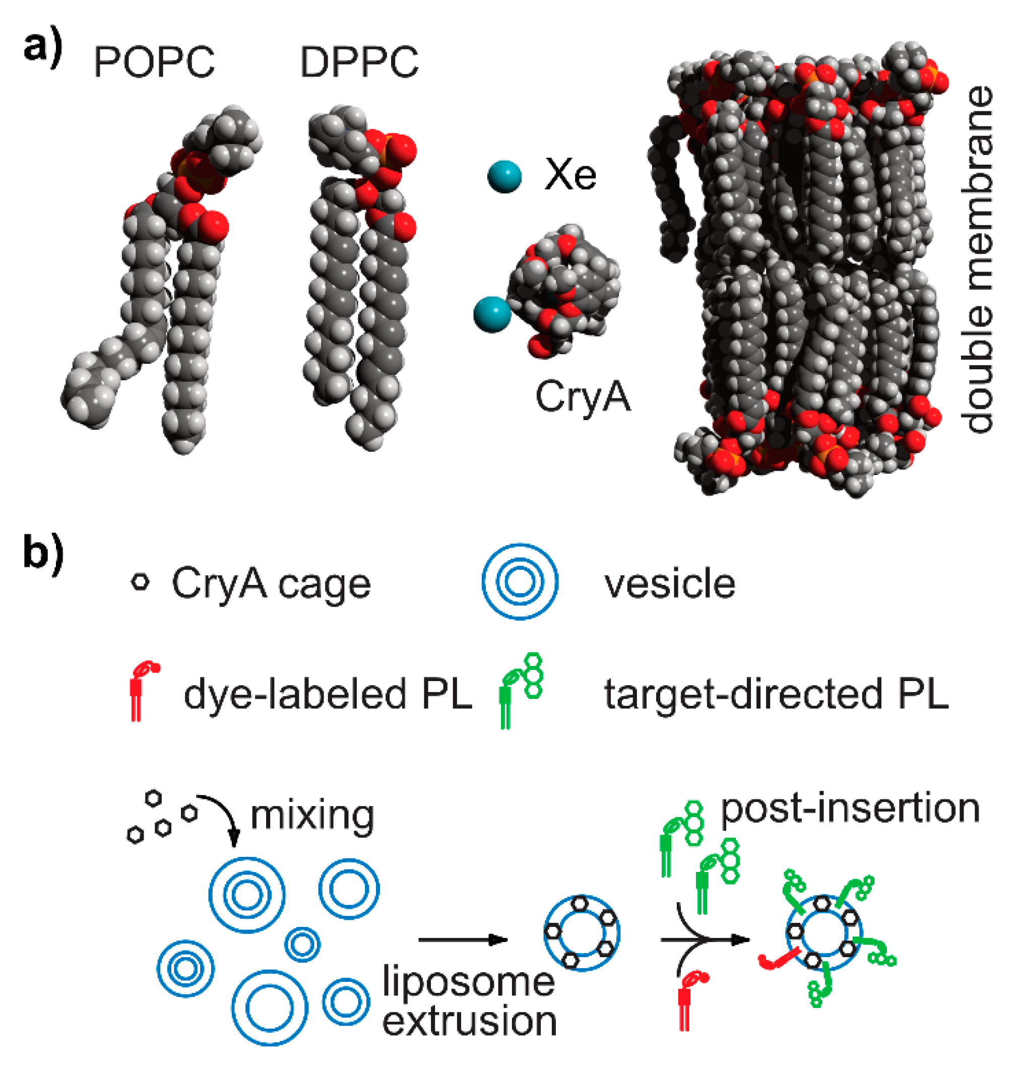 Molecules Free Full Text Molecular Sensing With Host Systems For Hyperpolarized 129xe Html Molecules Free Full Text Molecular Sensing With Host Systems For Hyperpolarized 129xe Html