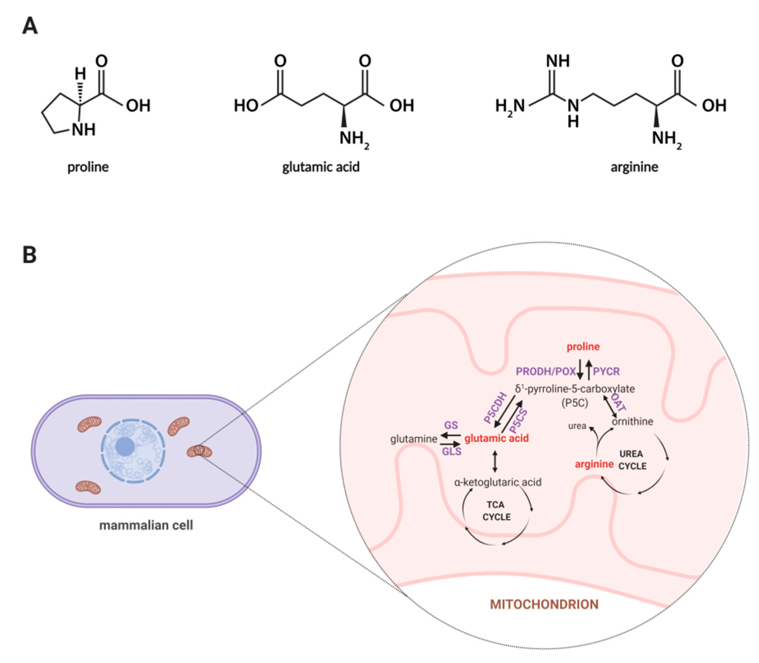 Molecules 25 04639 g001 Molecules 25 04639 g001