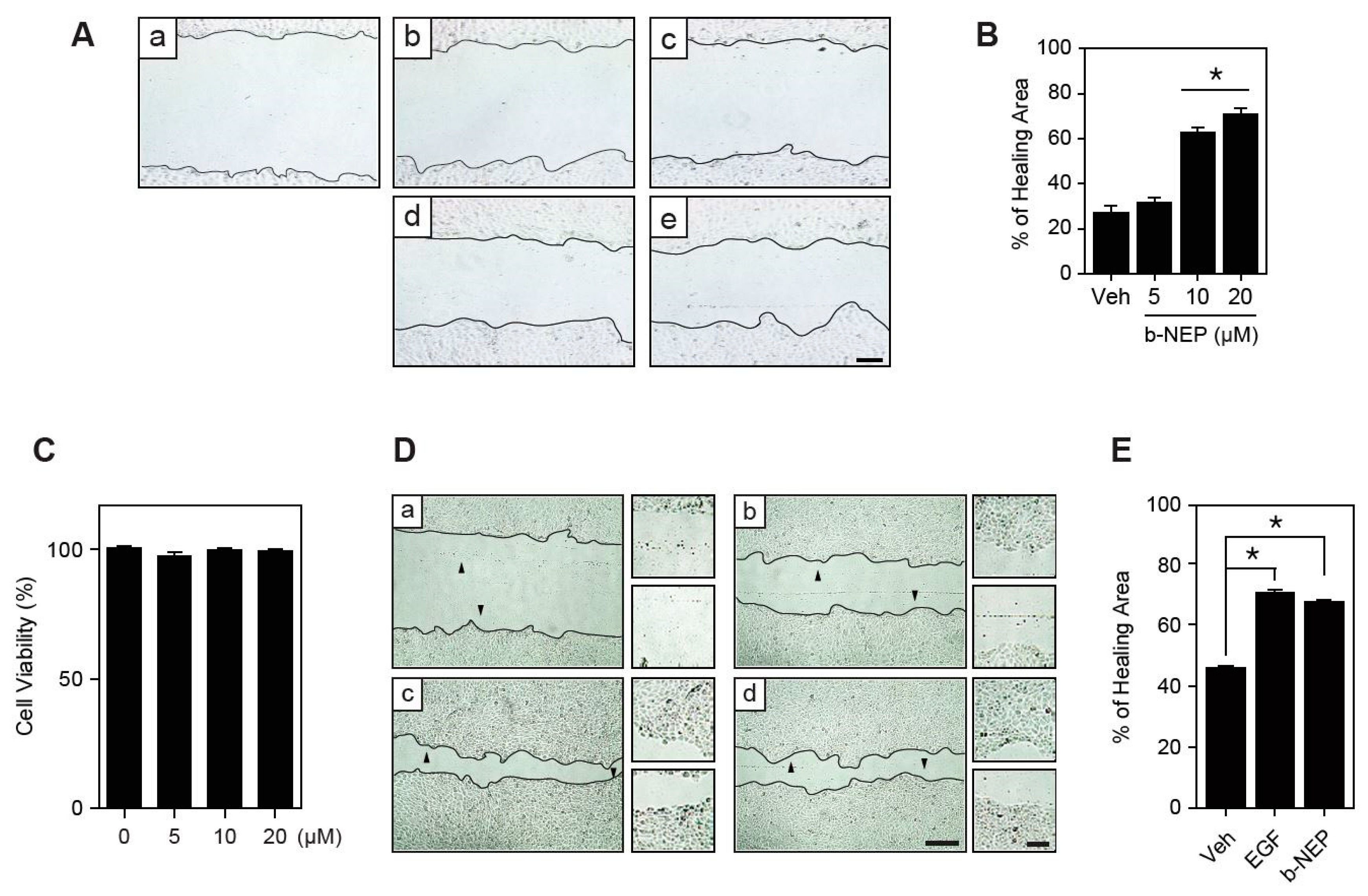 Molecules 25 04640 g001