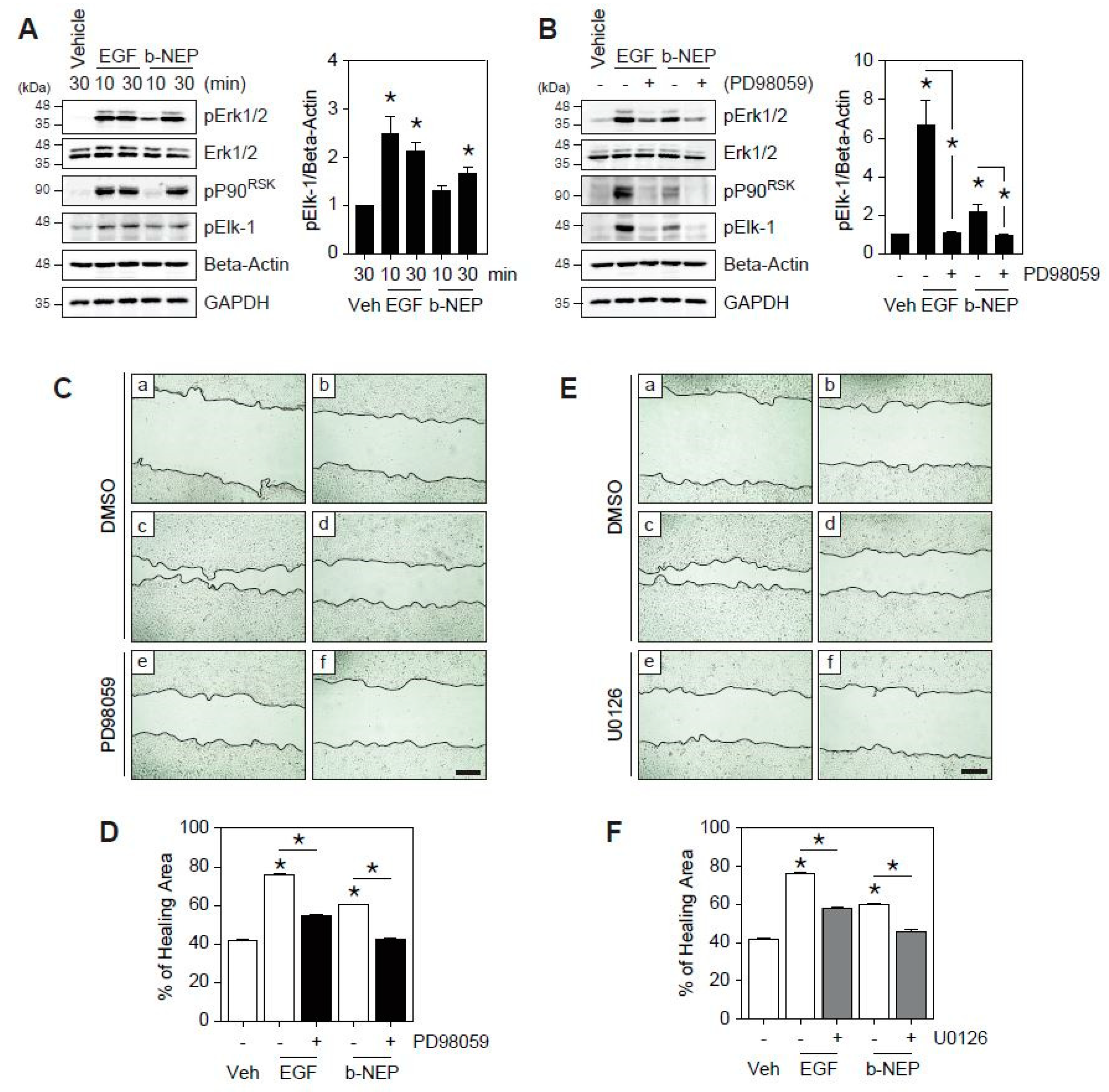 Molecules 25 04640 g002