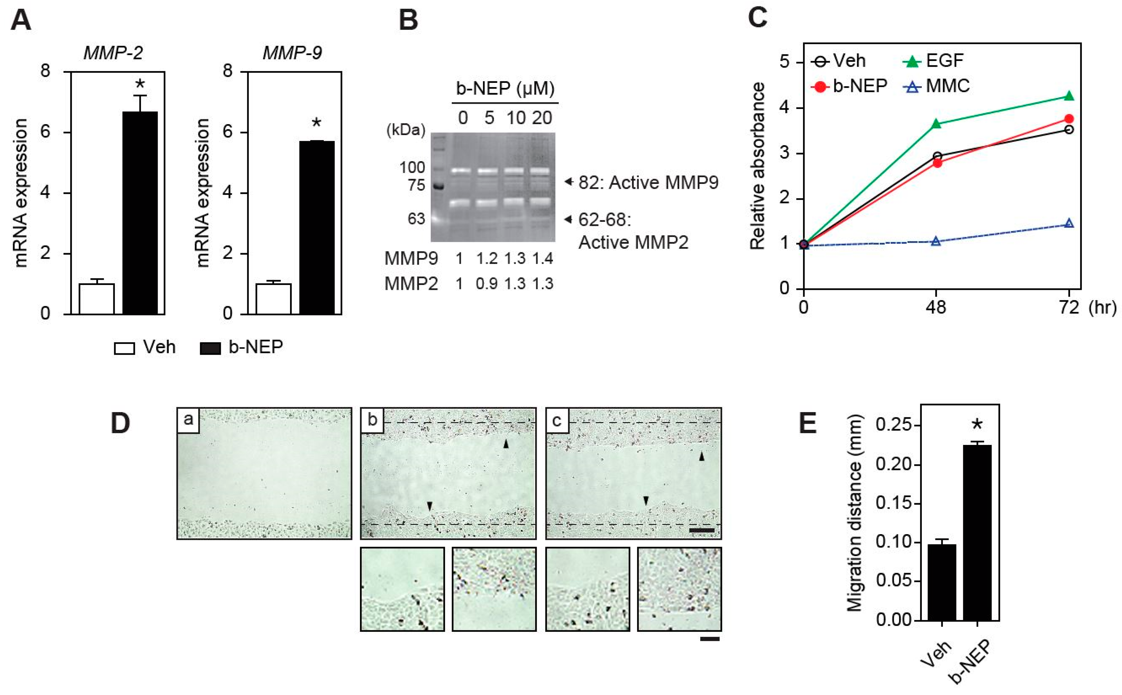 Molecules 25 04640 g003