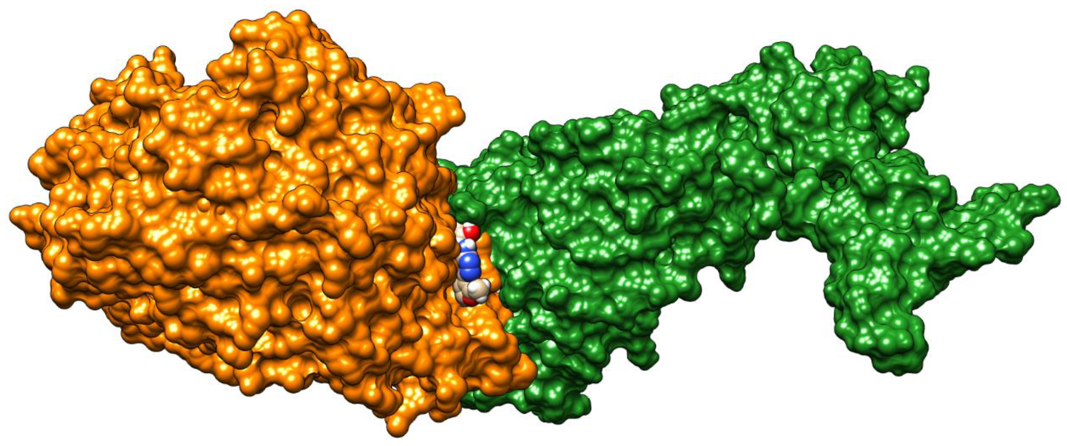 Molecules 25 04645 g004 Molecules 25 04645 g004