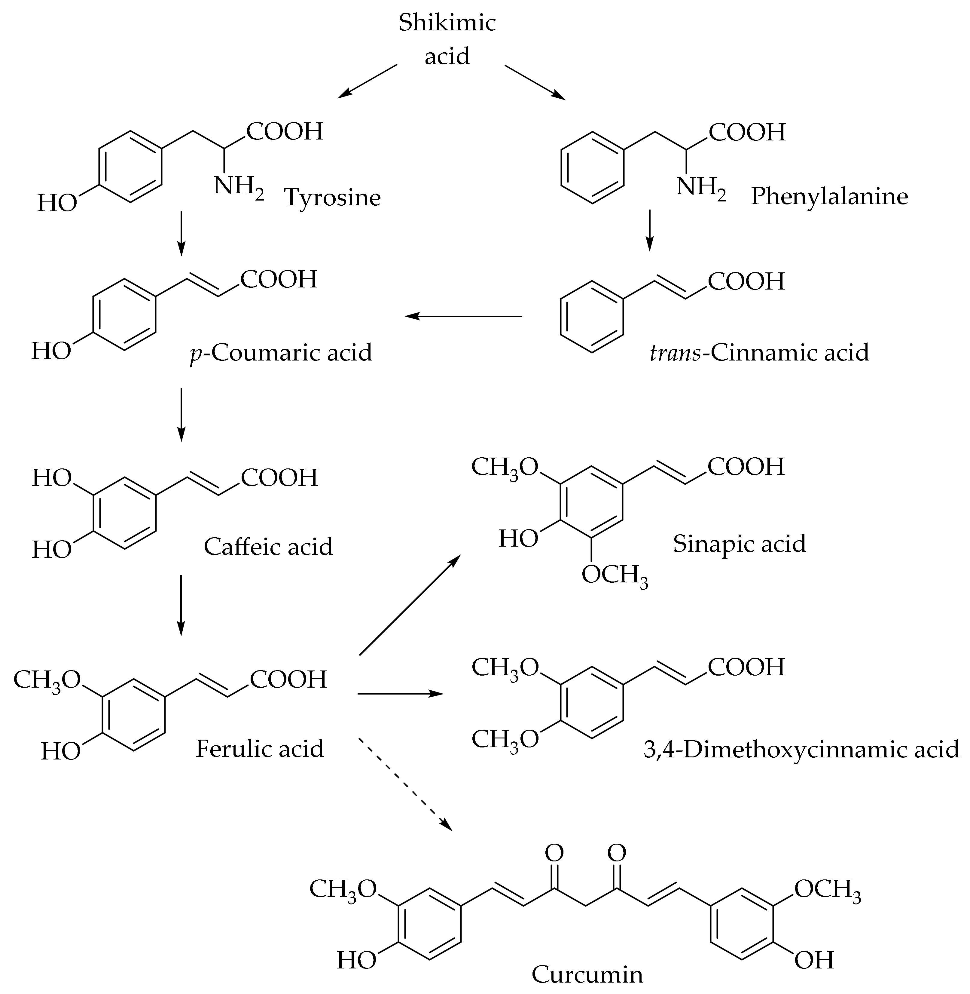 Molecules 25 04647 g001