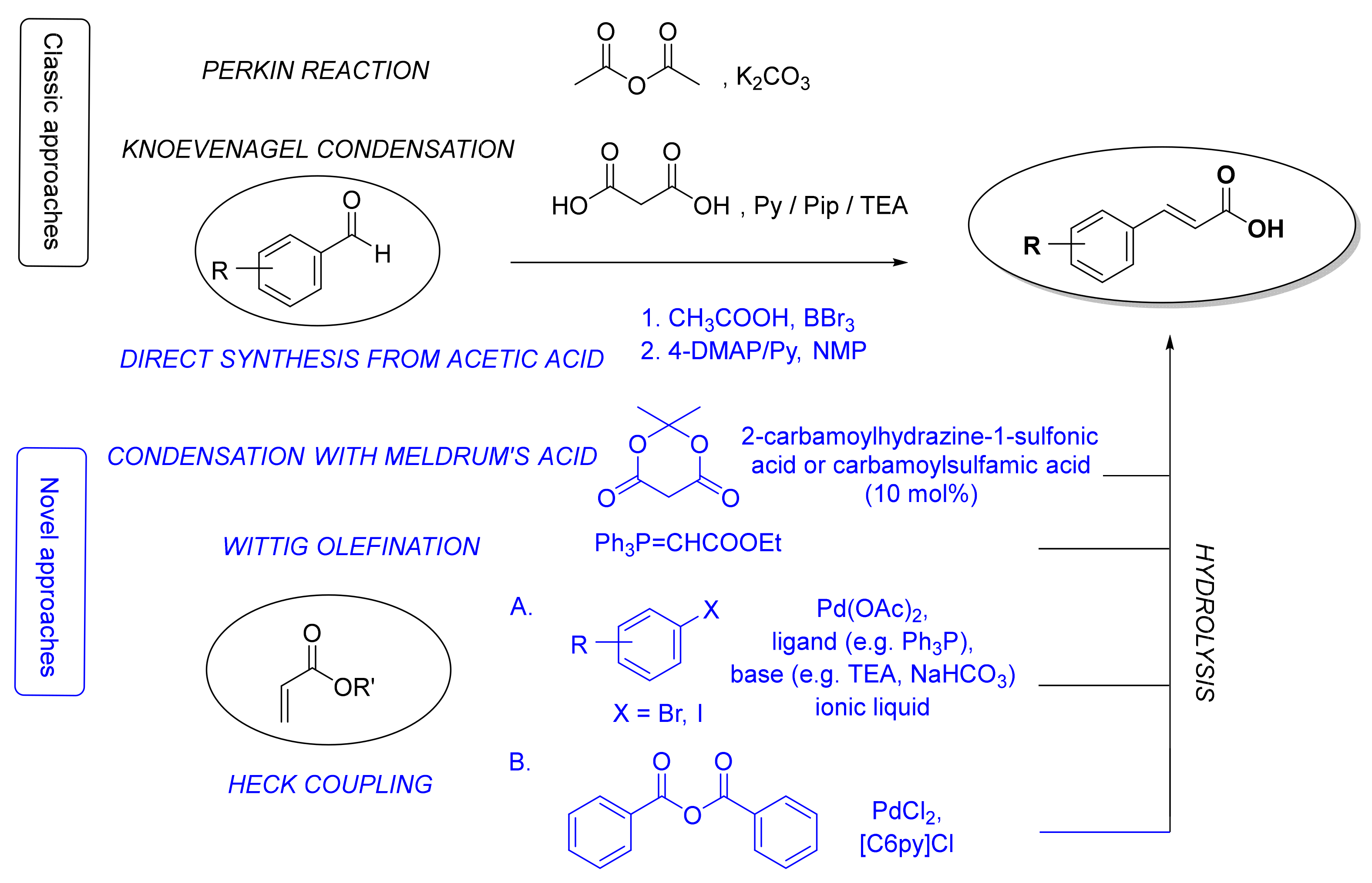 Molecules 25 04647 g002