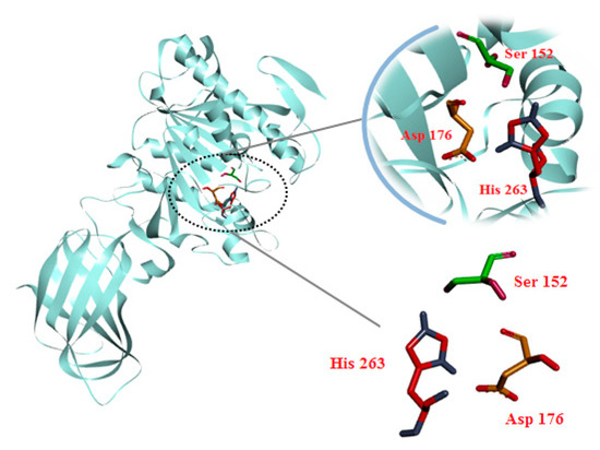Molecules | Free Full-Text | Exploring Aurone Derivatives as Potential
